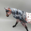 Alegis OOAK Appaloosa Running Stock Horse By Julie Keim Fall Facebook Auction 9/23