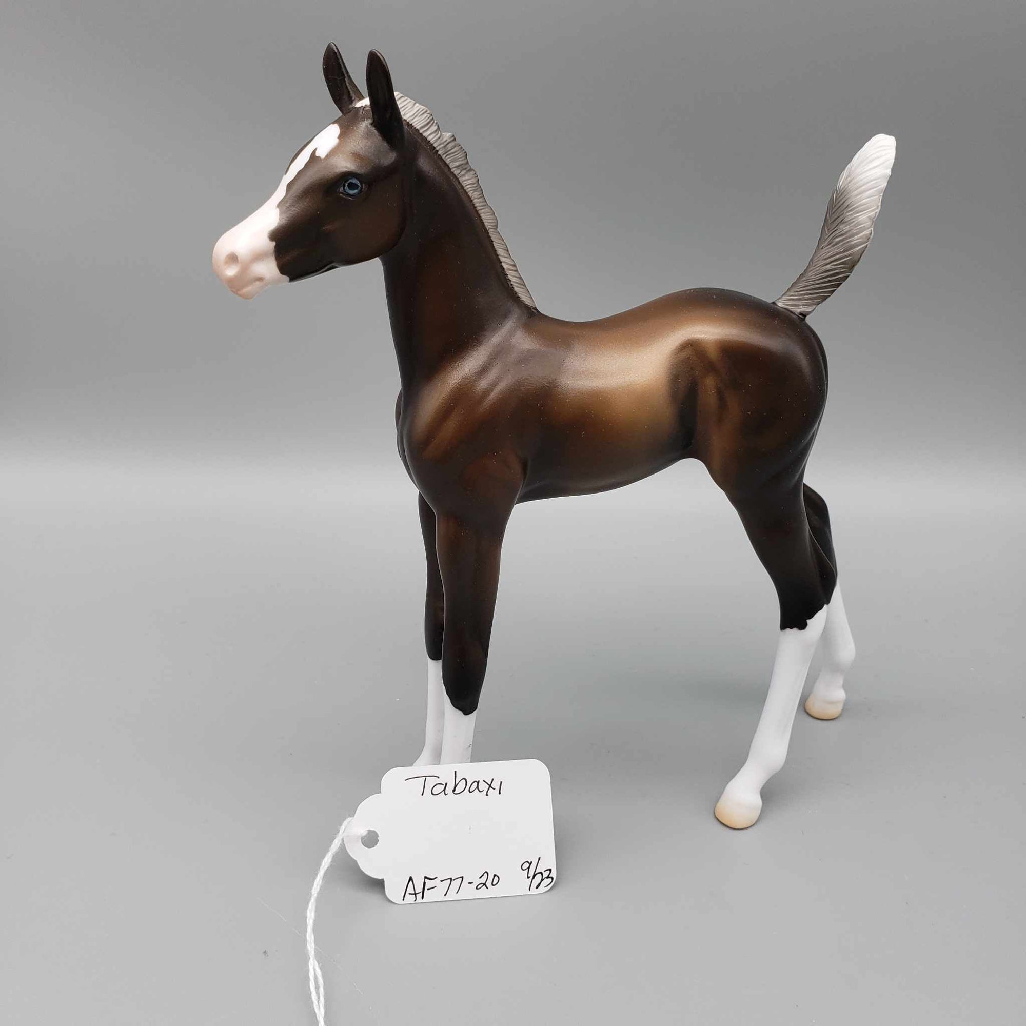 Tabaxi OOAK Sooty Palomino Arab Foal By Jess Hamill Fall Into Autumn Random Drop Sale 9/23