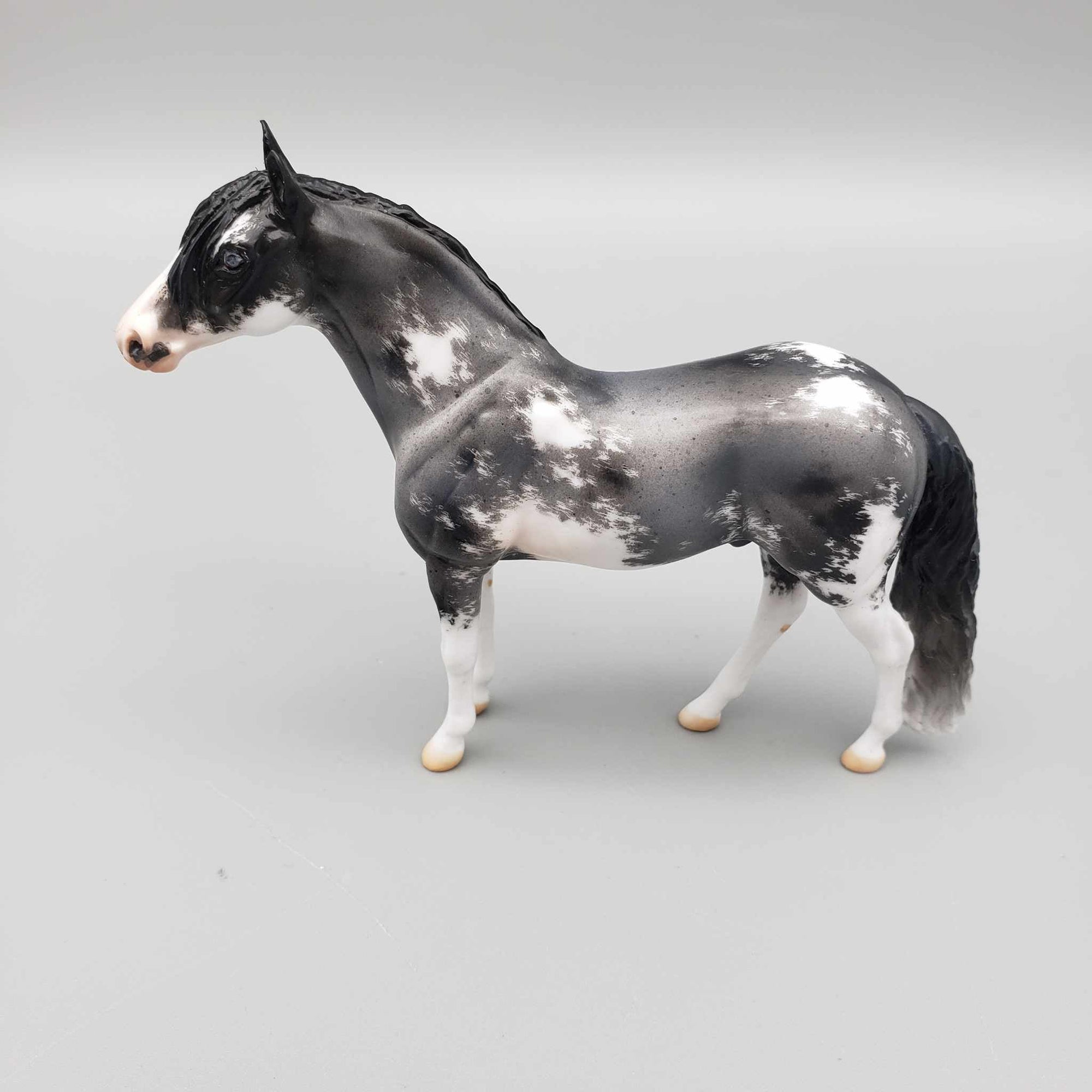 Archean OOAK Blue Roan Sabino Andalusian Chip by Jess Hamill  Facebook Auction Fall Into Autumn Random Drop Sale 9/23