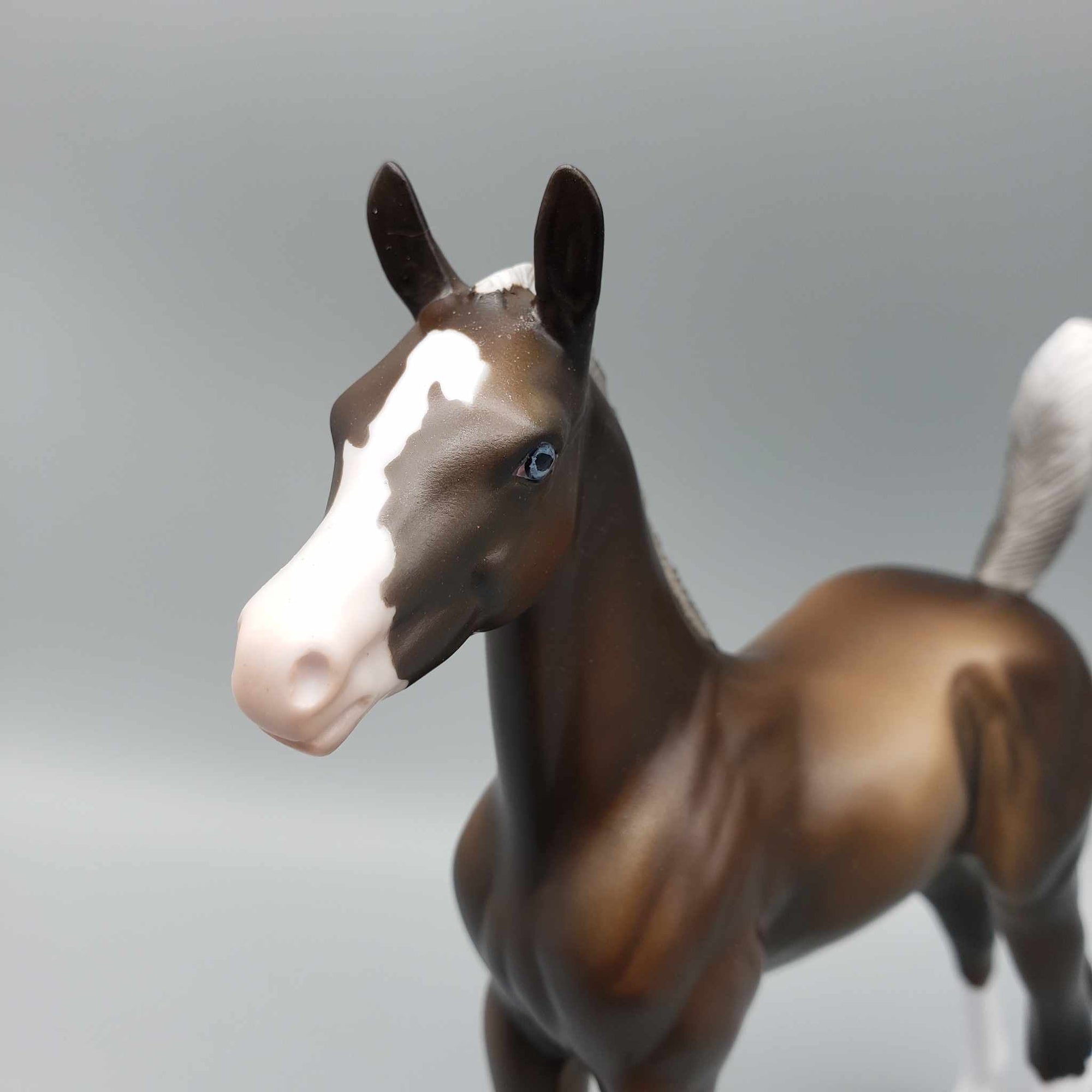 Tabaxi OOAK Sooty Palomino Arab Foal By Jess Hamill Fall Into Autumn Random Drop Sale 9/23