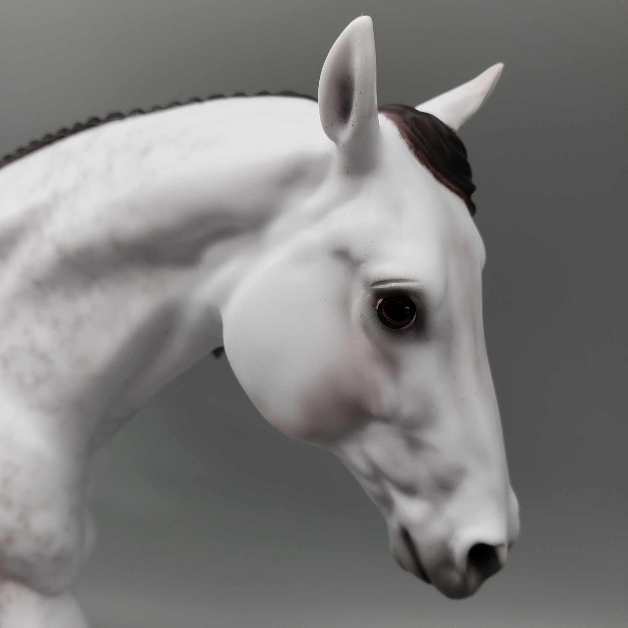 Lunar Eclipse OOAK Dapple Mulberry Grey MARE Running Stock Horse by Ellen Robbins Fall Into Autumn Random Drop Sale 9/23