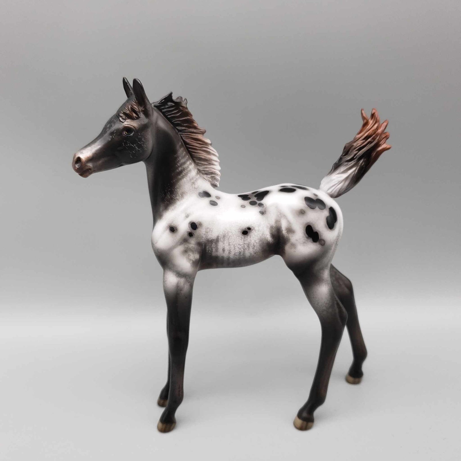 Subie OOAK Black Appaloosa Arab Foal By Jess Hamill Best Offers 9/25/23