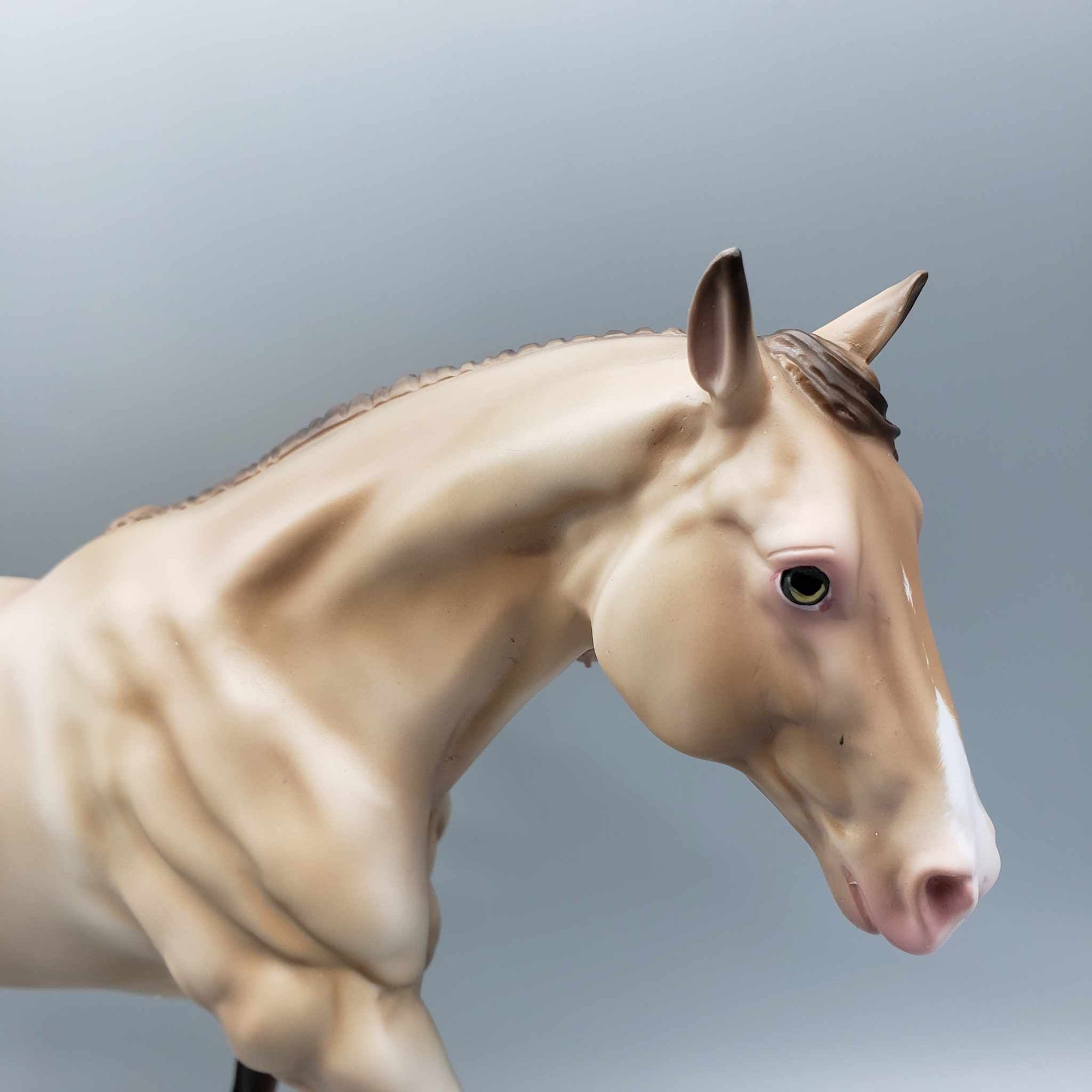 Amber Shimmer OOAK Amber Champagne Running Stock Horse MARE by Ashley Palmer Fall Into Autumn Random Drop Sale 9/23