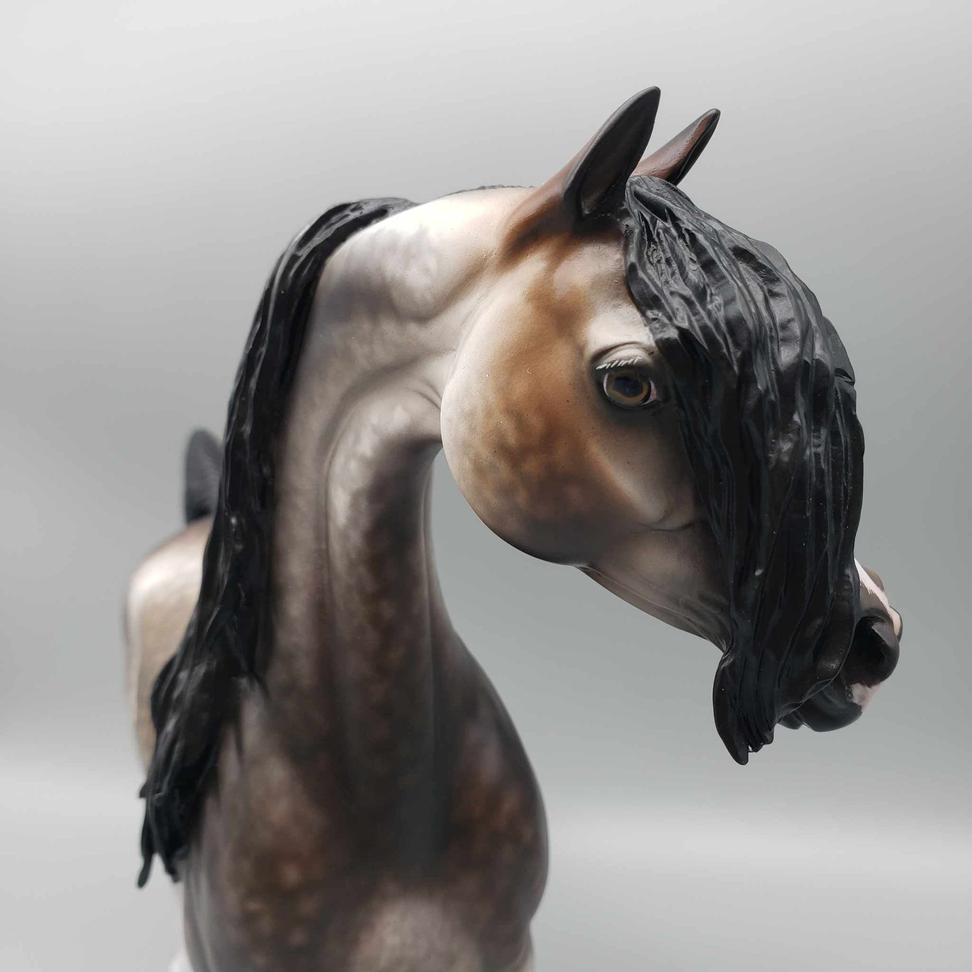 Zephyr OOAK Bay Going Grey Arabian By Sheryl Leisure Best Offers 9/25/23