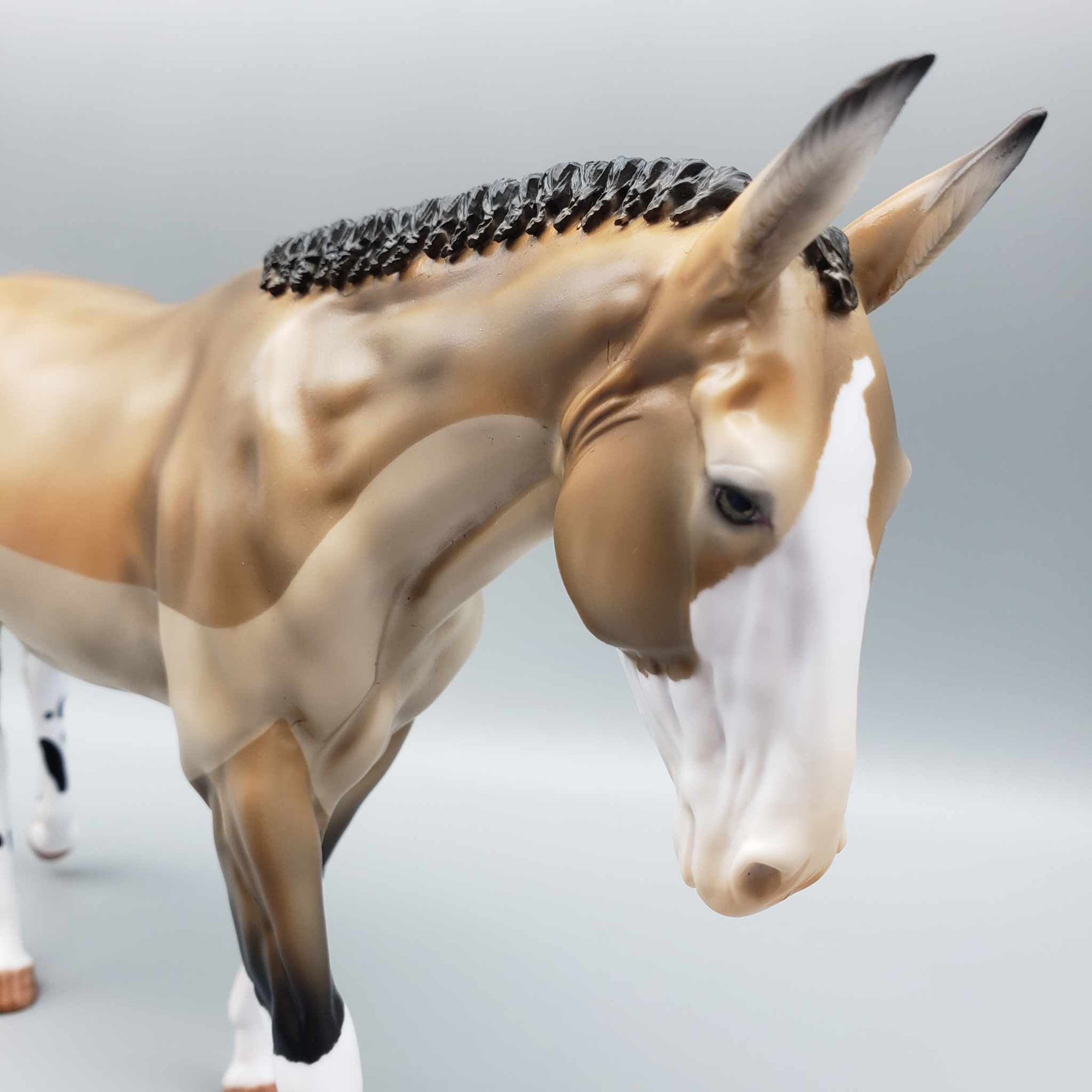 Trace A$$kins OOAK Trace Clipped Buckskin Mule By Myla Pearce Best Offers 10/02/23