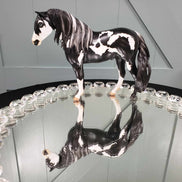 Idle Dyce OOAK Black Overo Mustang By Myla Pearce Best Offers 10/02/23