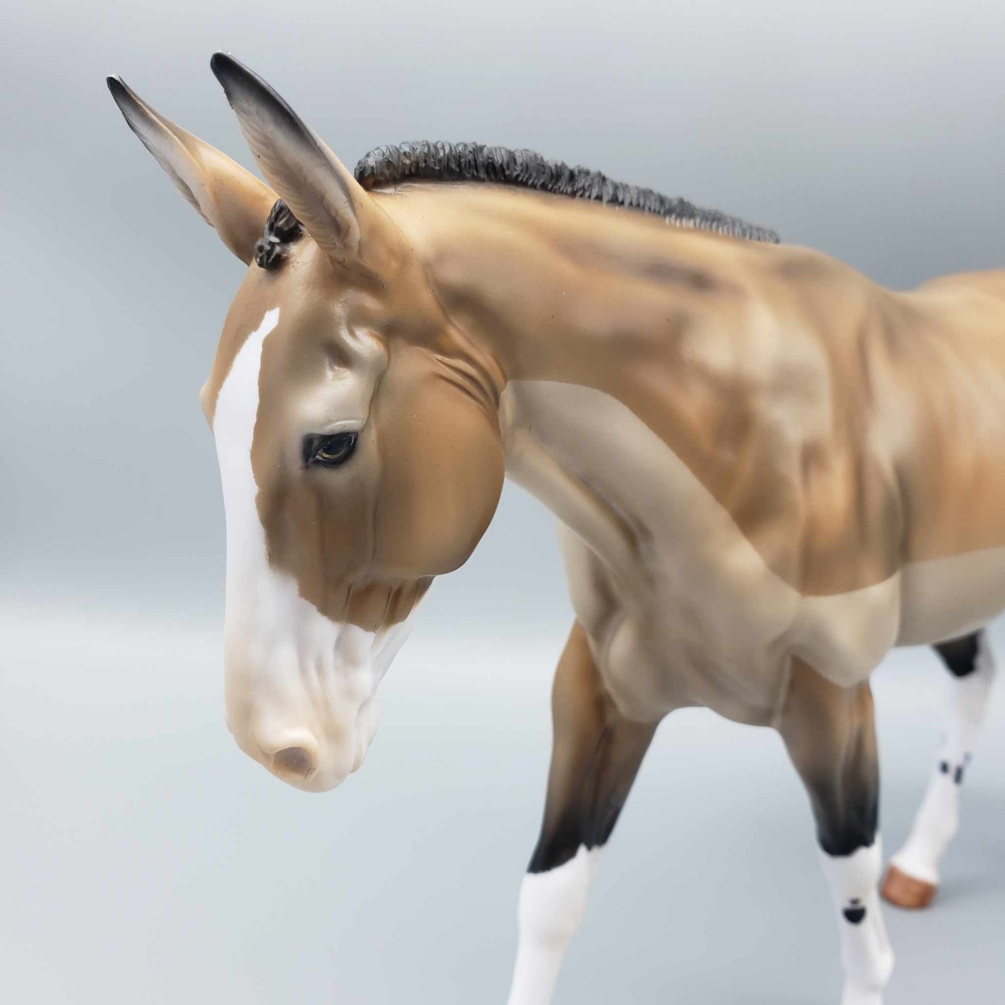 Trace A$$kins OOAK Trace Clipped Buckskin Mule By Myla Pearce Best Offers 10/02/23