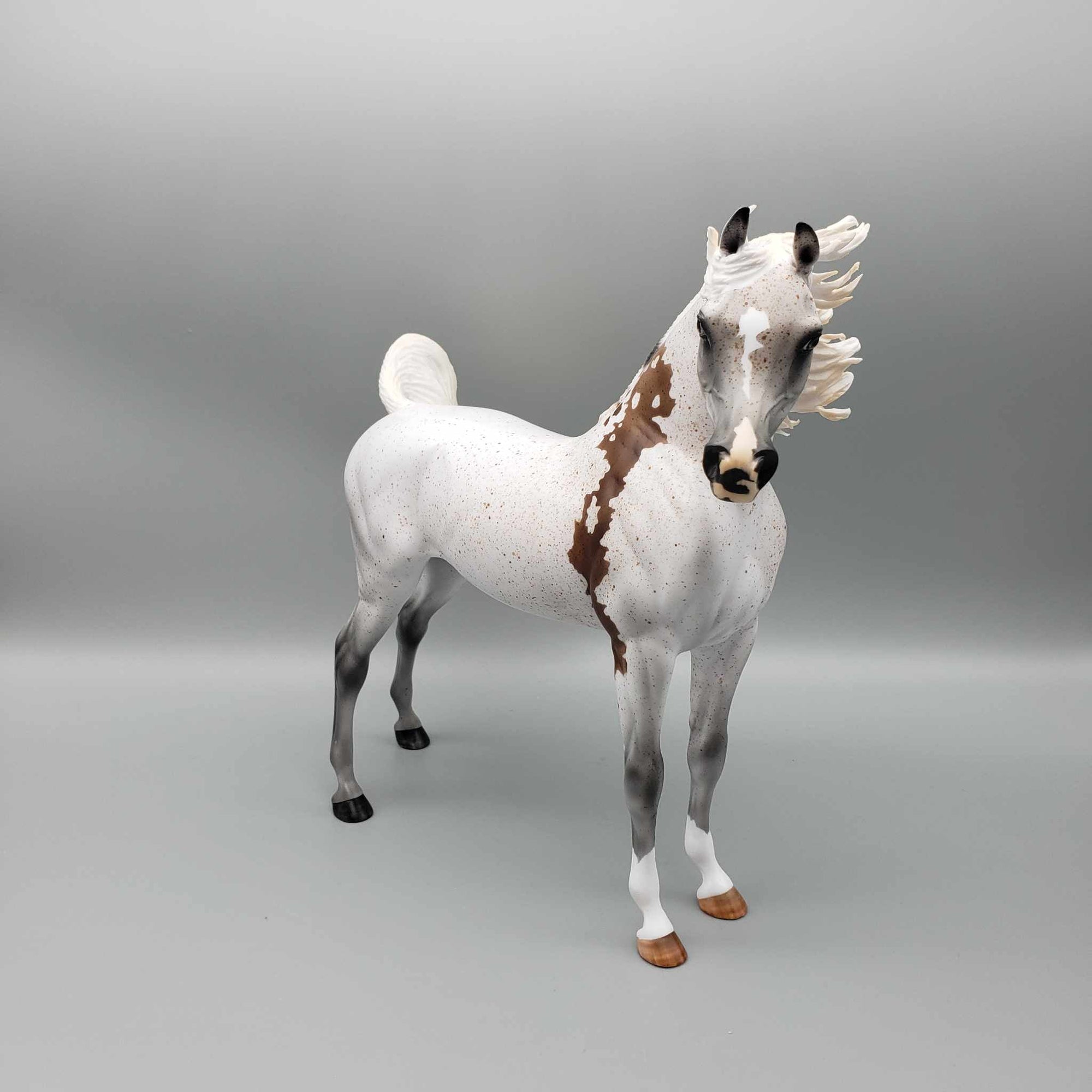 Enchanted OOAK Fleabitten Grey Bloody Shoulder Arabian Stallion By Myla Pearce Best Offers 10/02/23