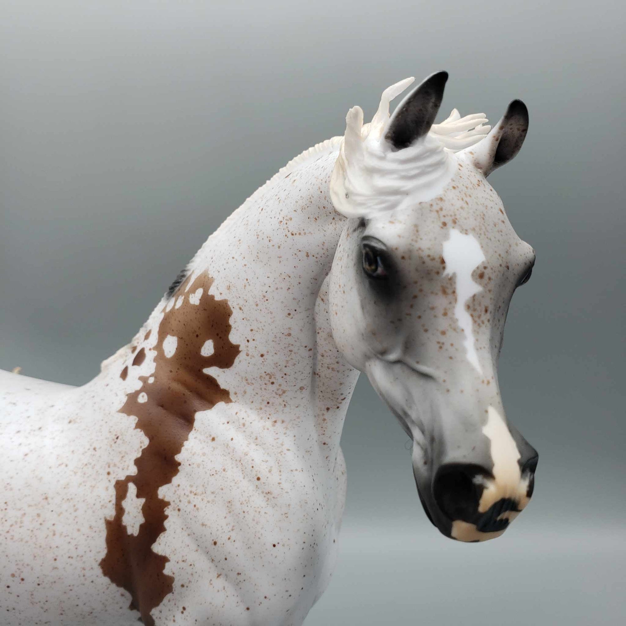 Enchanted OOAK Fleabitten Grey Bloody Shoulder Arabian Stallion By Myla Pearce Best Offers 10/02/23