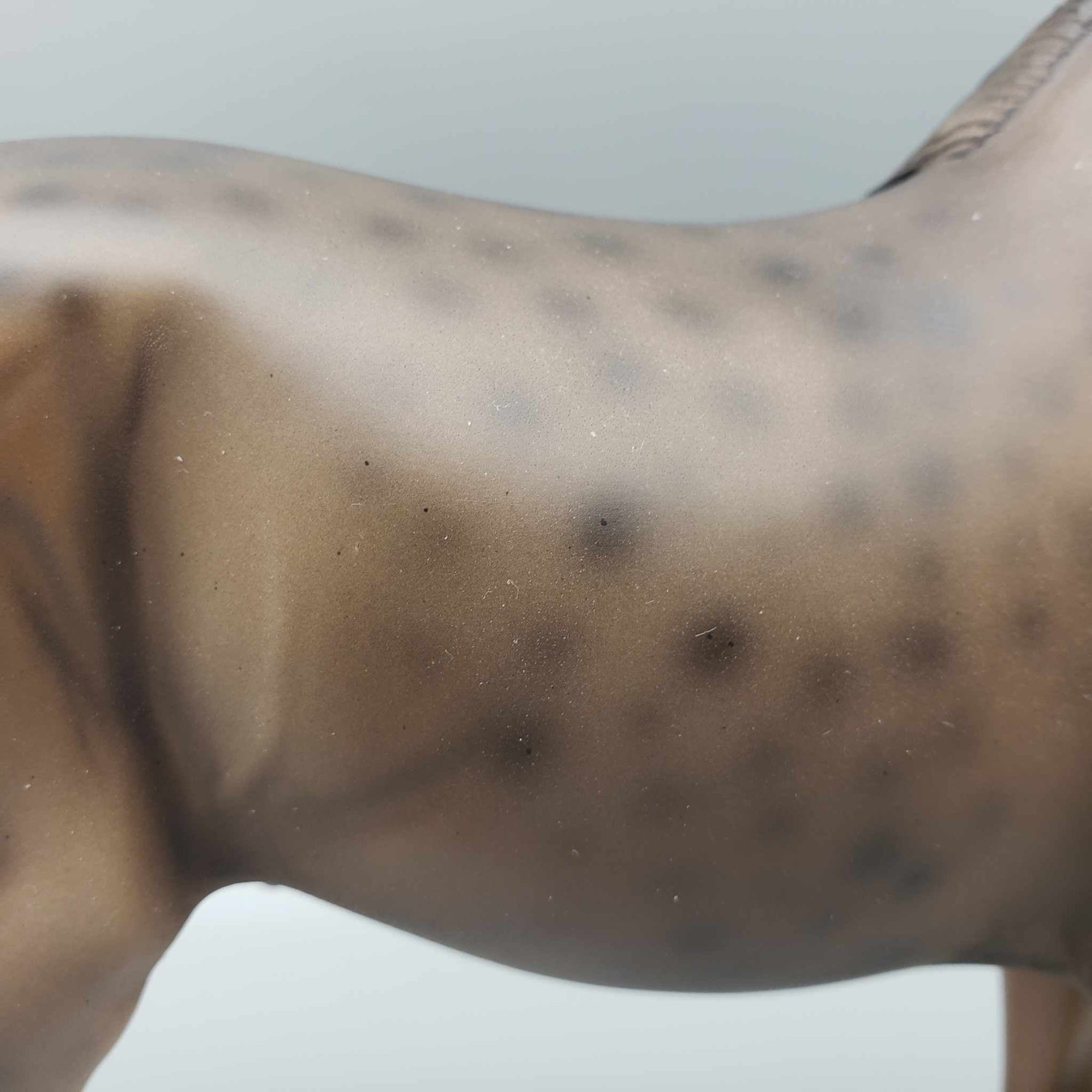 Woodland Mycelium OOAK Reverse Dappled Sable Champagne By Ashley Palmer Best Offers 10/02/23