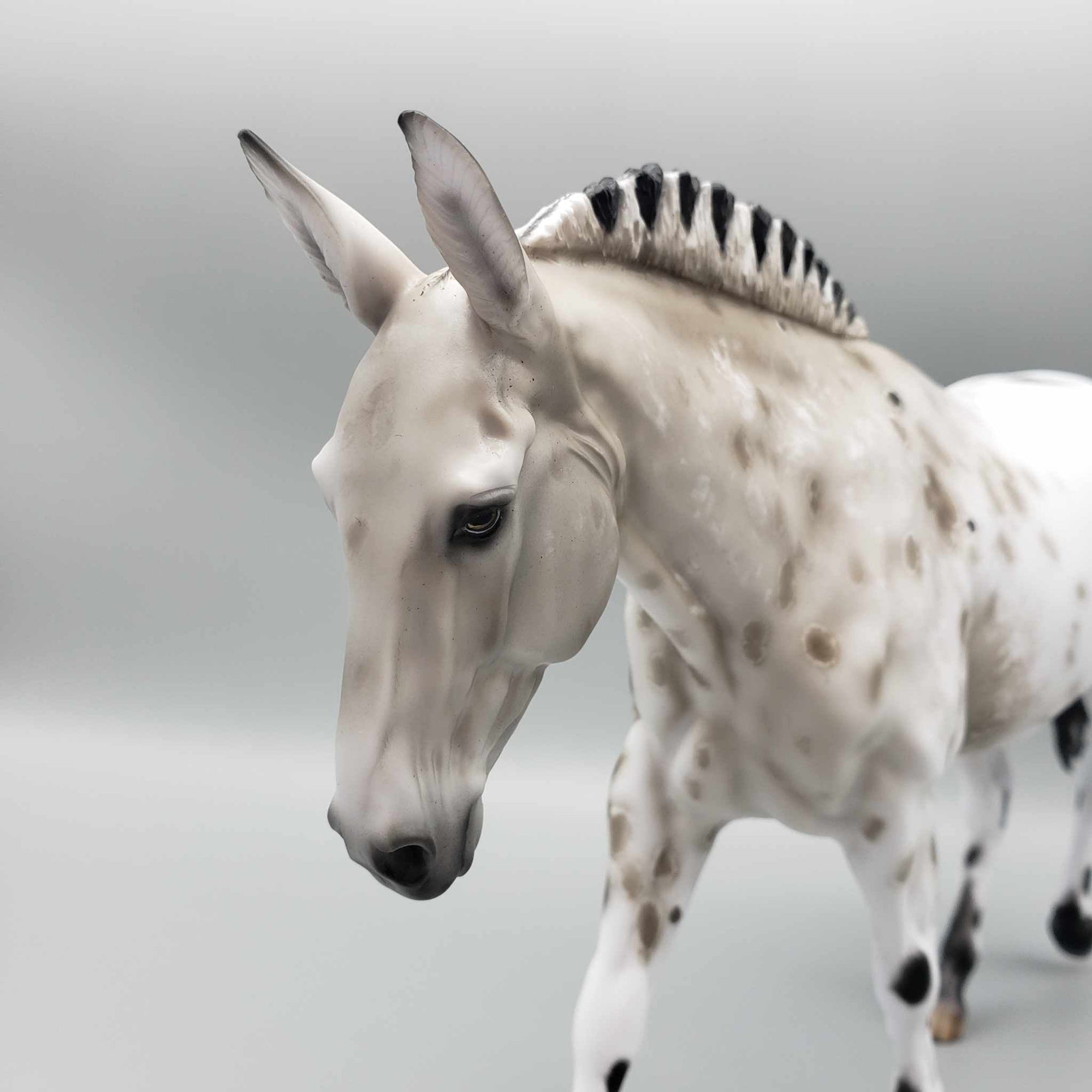 Dun Assumption OOAK Dun Appy Mule By Myla Pearce Best Offers 10/02/23