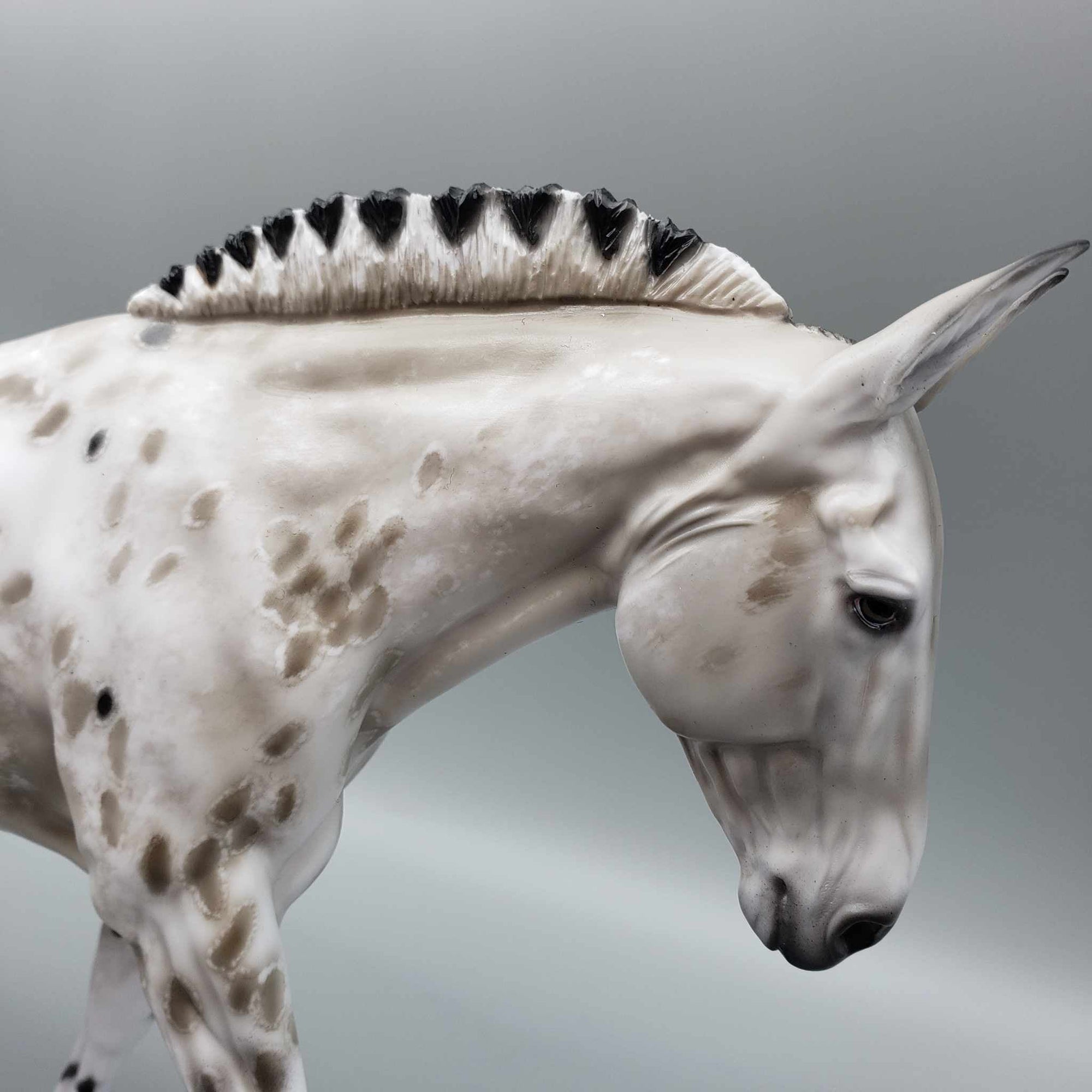 Dun Assumption OOAK Dun Appy Mule By Myla Pearce Best Offers 10/02/23