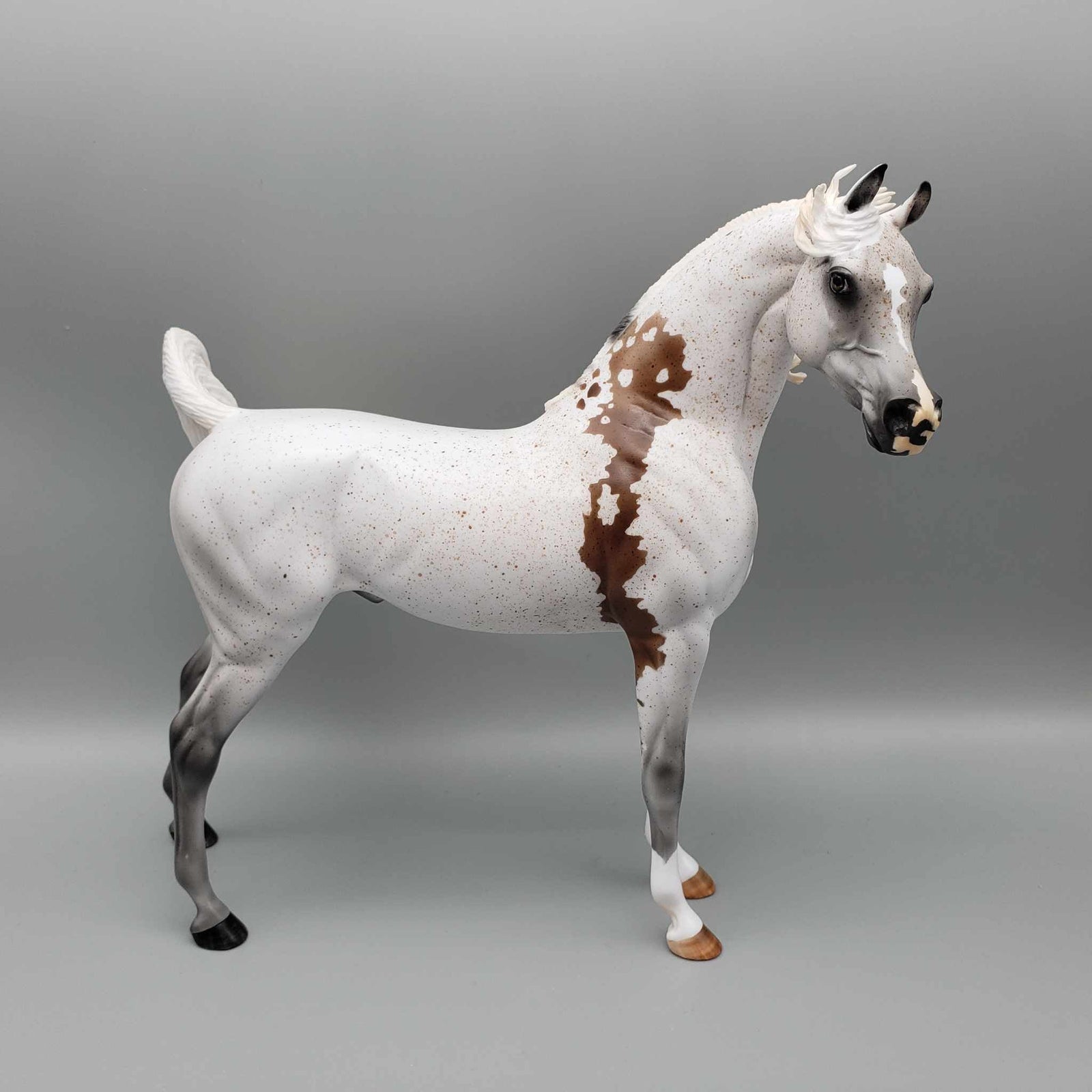Enchanted OOAK Fleabitten Grey Bloody Shoulder Arabian Stallion By Myla Pearce Best Offers 10/02/23