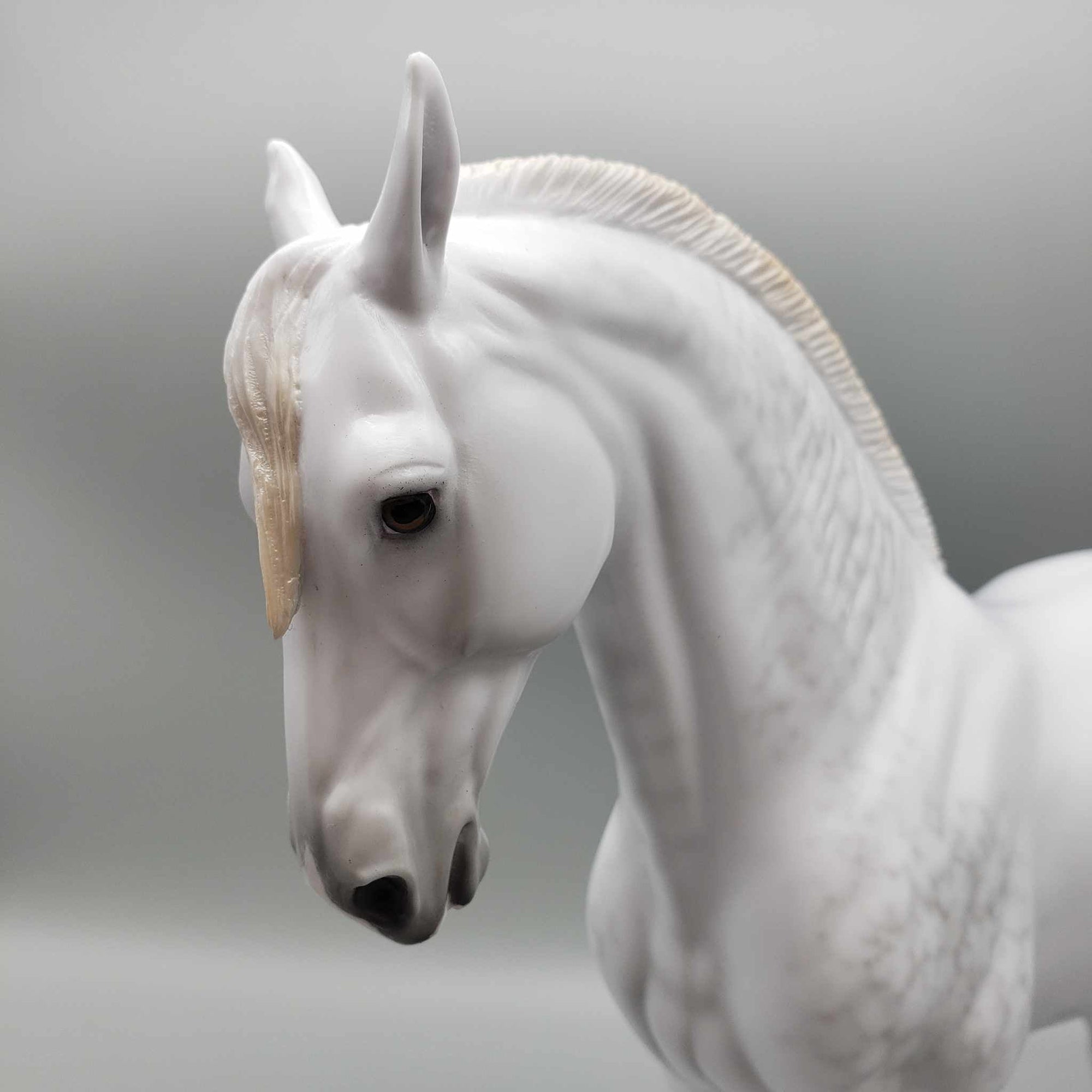 Claire de Luna Duo OOAK Dapple Grey Andalusian by Ellen Robbins Fall Into Autumn Random Drop Sale 9/23