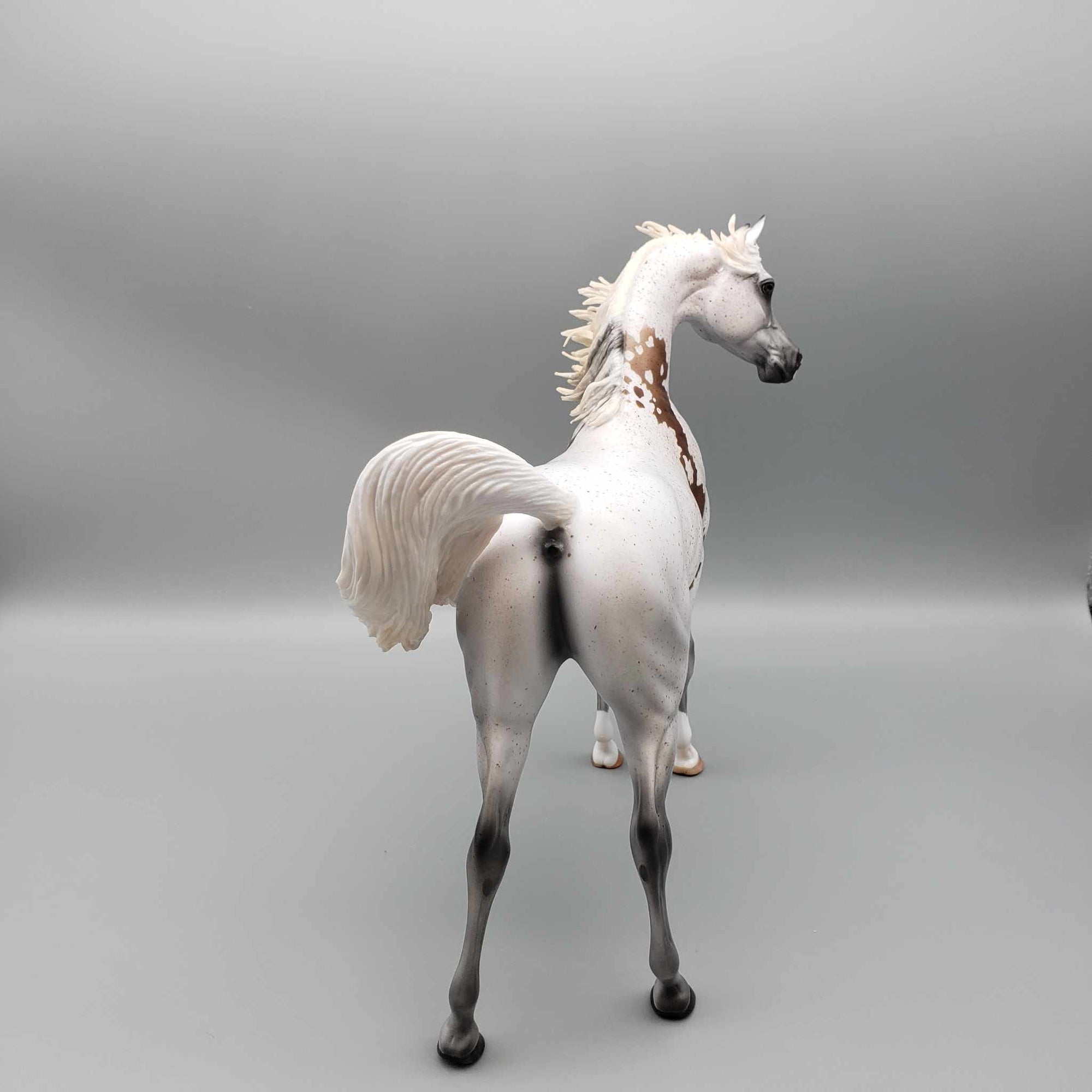 Enchanted OOAK Fleabitten Grey Bloody Shoulder Arabian Stallion By Myla Pearce Best Offers 10/02/23