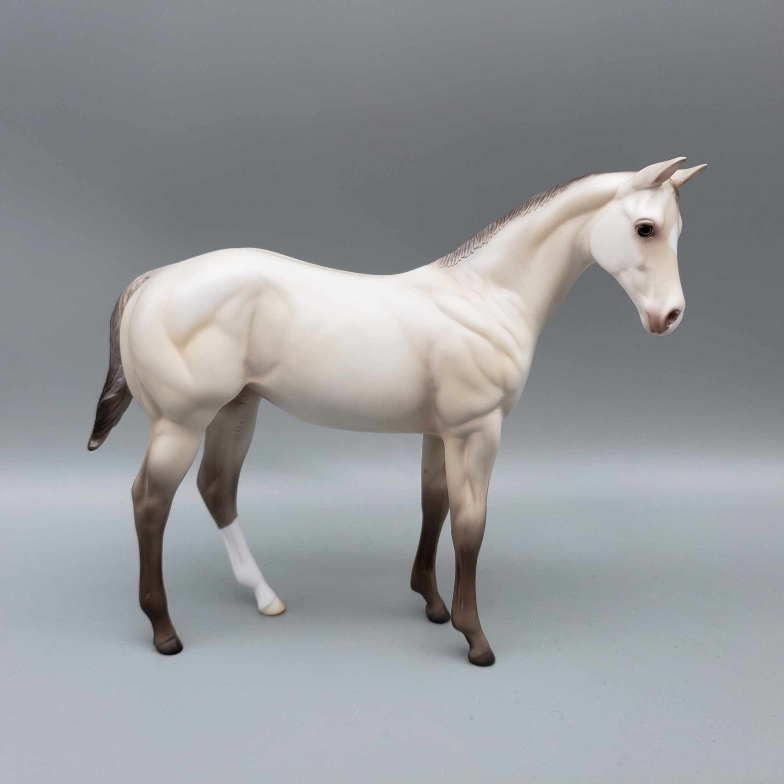 Soft 'N Fluffy OOAK Sable Ivory Cream Champagne Weanling By Ashley Palmer Fall Into Autumn Random Drop Sale 9/23