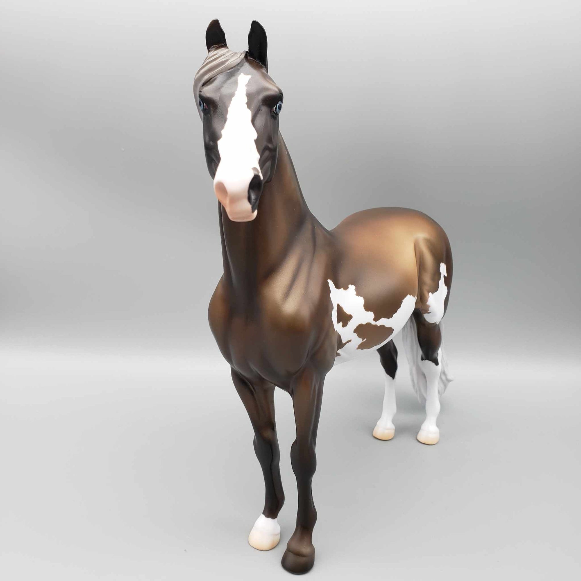 Mimic OOAK Sooty Palomino Morgan By Jess Hamill Fall Into Autumn Random Drop Sale 9/23