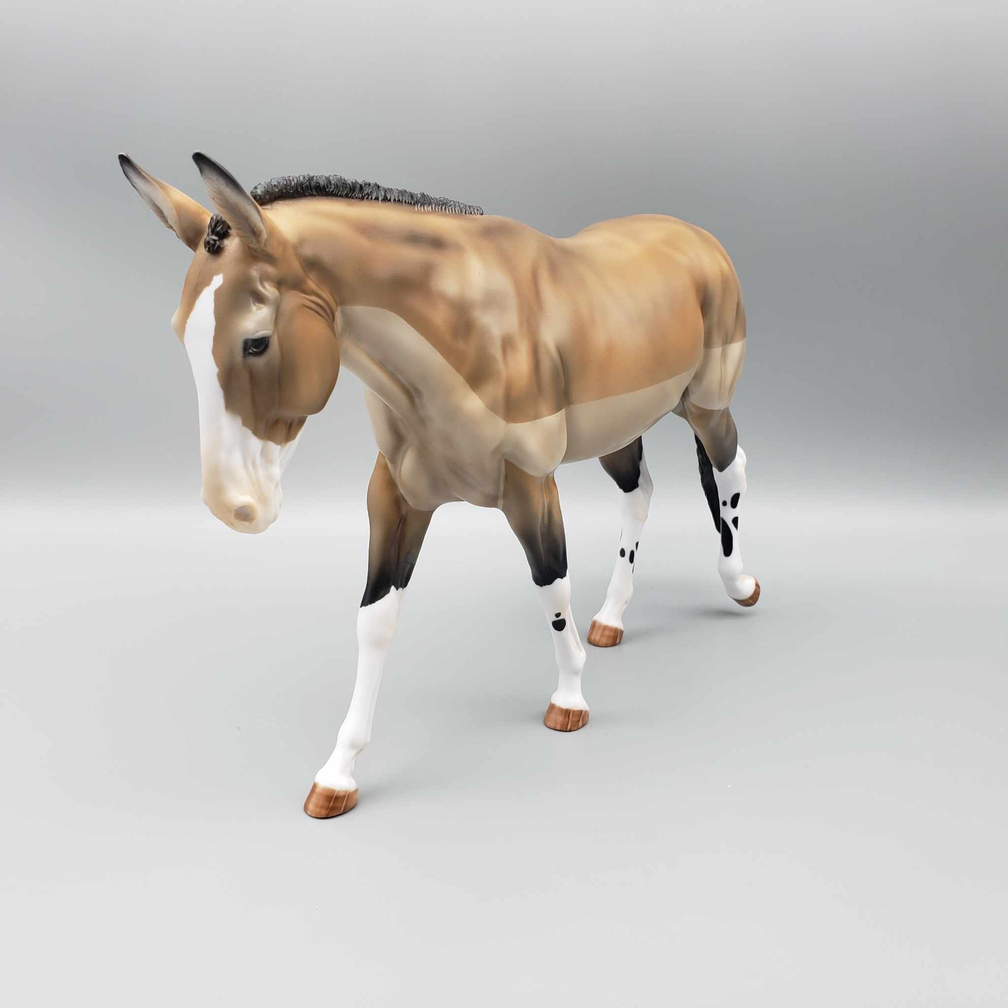 Trace A kins OOAK Trace Clipped Buckskin Mule By Myla Pearce Best