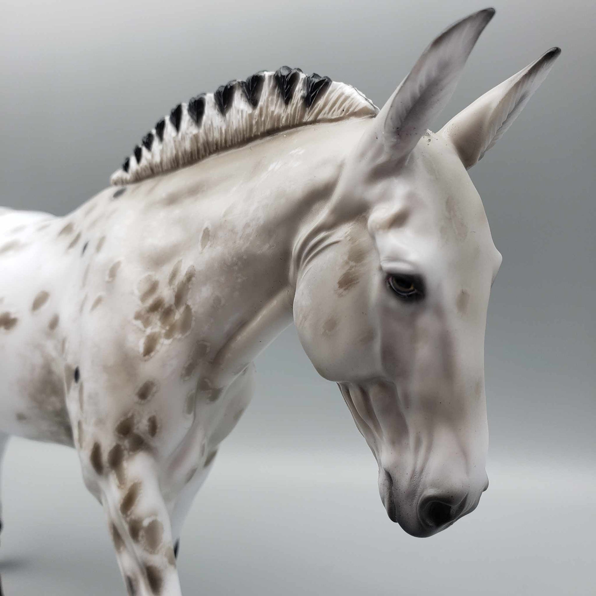 Dun Assumption OOAK Dun Appy Mule By Myla Pearce Best Offers 10/02/23