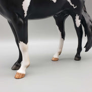 Idle Dyce OOAK Black Overo Mustang By Myla Pearce Best Offers 10/02/23