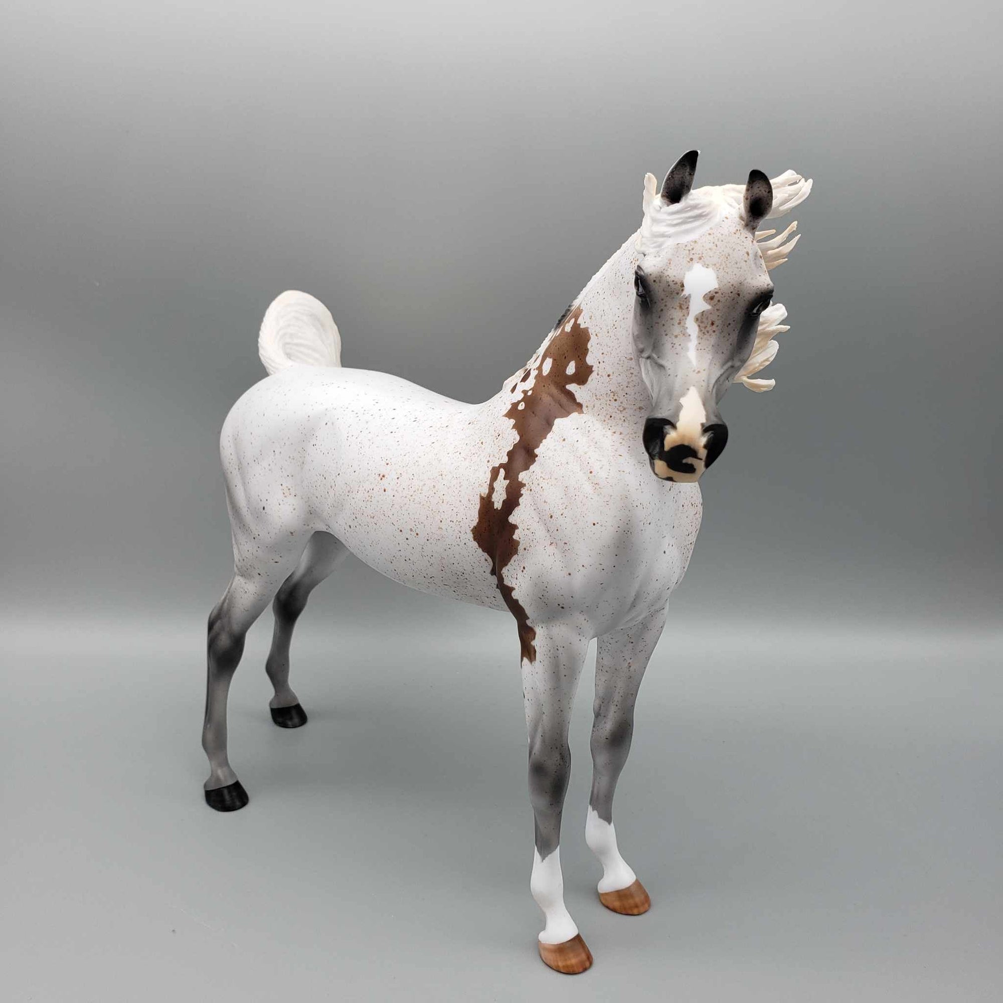 Enchanted OOAK Fleabitten Grey Bloody Shoulder Arabian Stallion By Myla Pearce Best Offers 10/02/23