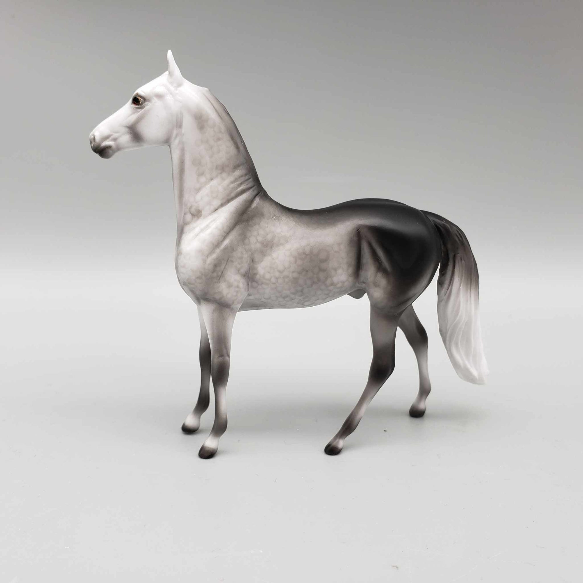 Snow Cloud OOAK Dapple Grey Morgan Chip by Ellen Robbins Holiday Sale HS23