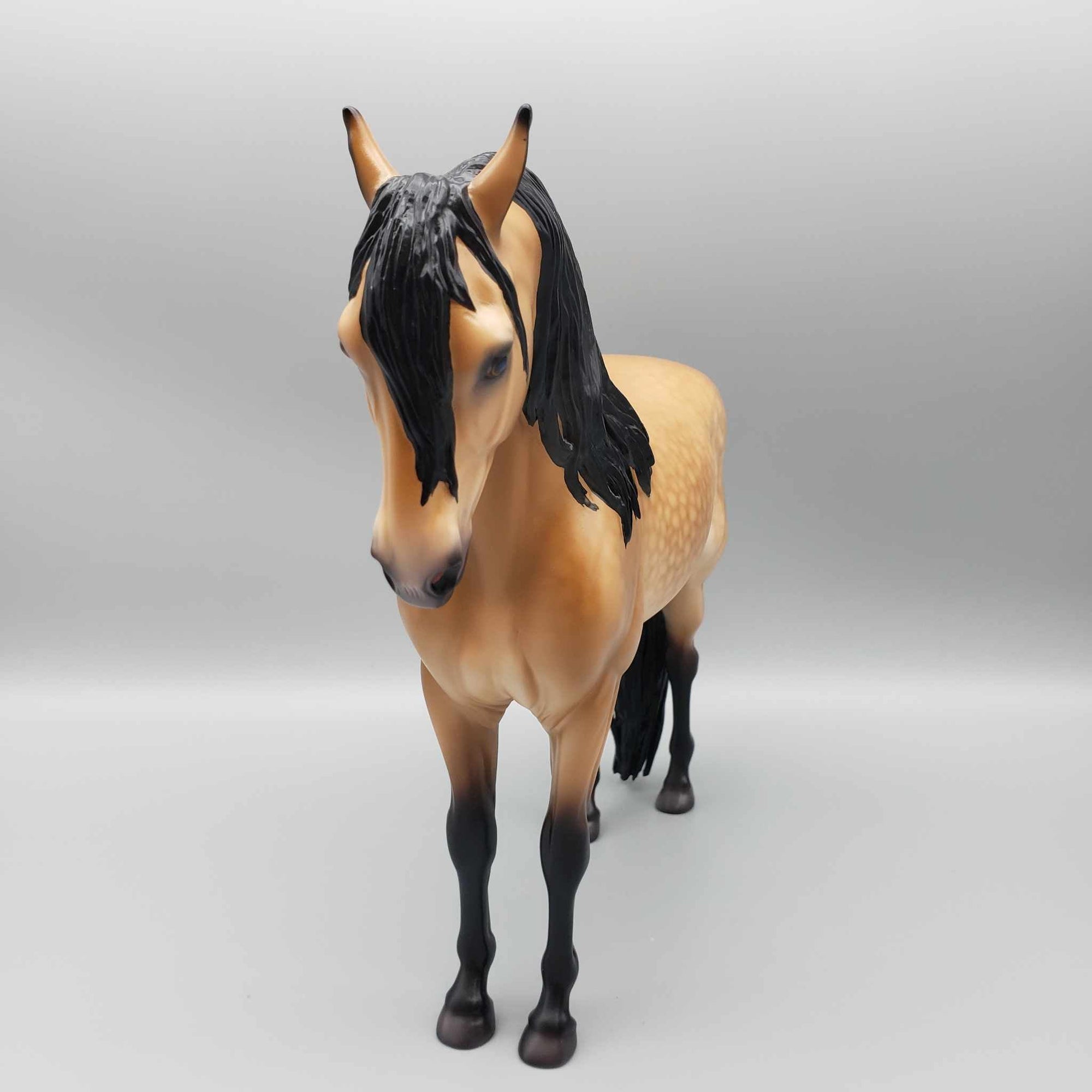 Grumman OOAK Dappled Buckskin Andalusian By Caroline Boydston Best Offer 11/13/23