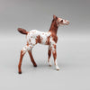 Jubilee OOAK Appaloosa Chip Foal Hand Painted and Customized by Andrea Thomason NY23