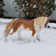 So Charming OOAK Sabino Irish Cob By Sheryl Leisure Best Offer 1/7/24