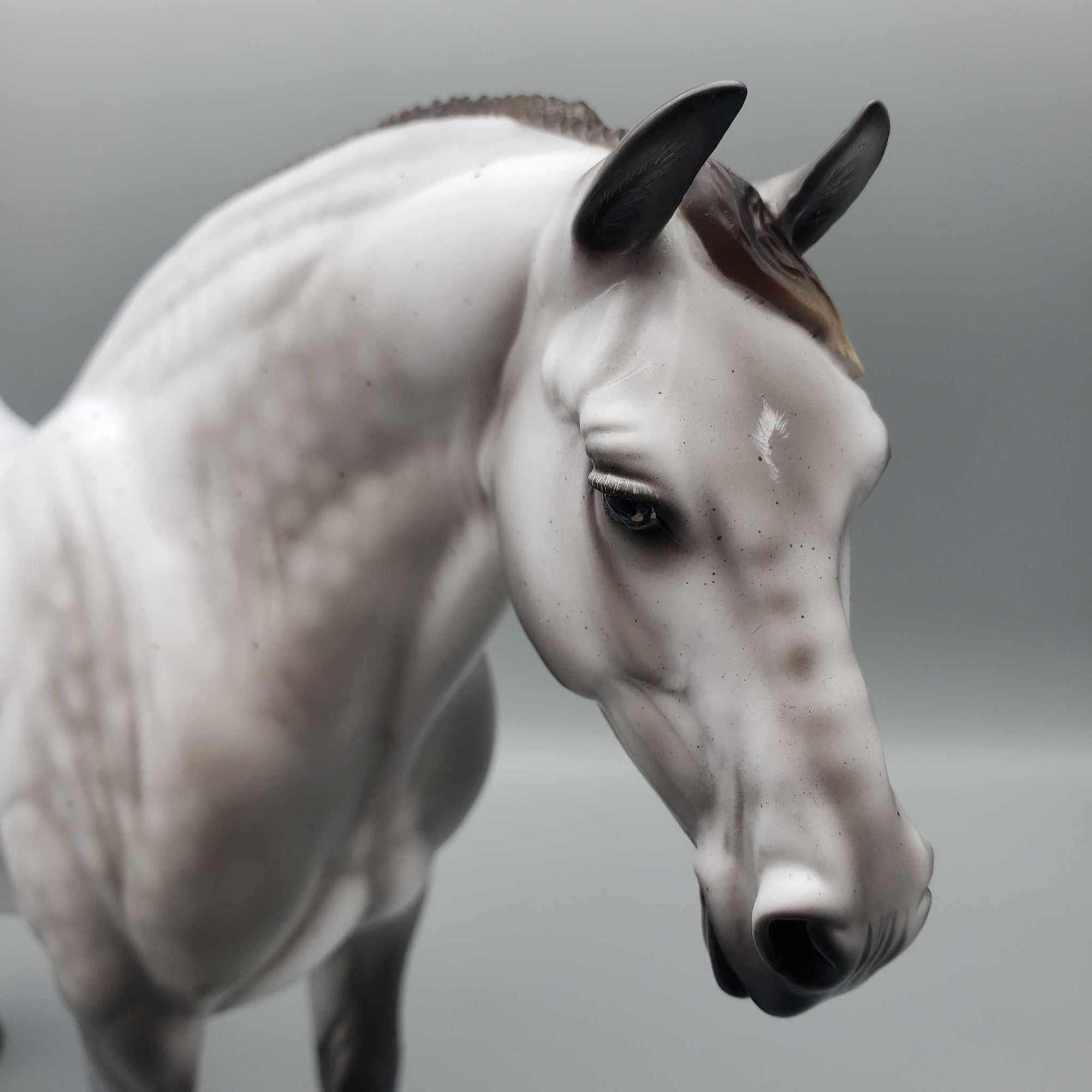 Thayla OOAK Rose Grey Fleabitten Heavy Draft By Ashley Palmer Best Offers 10/09/23