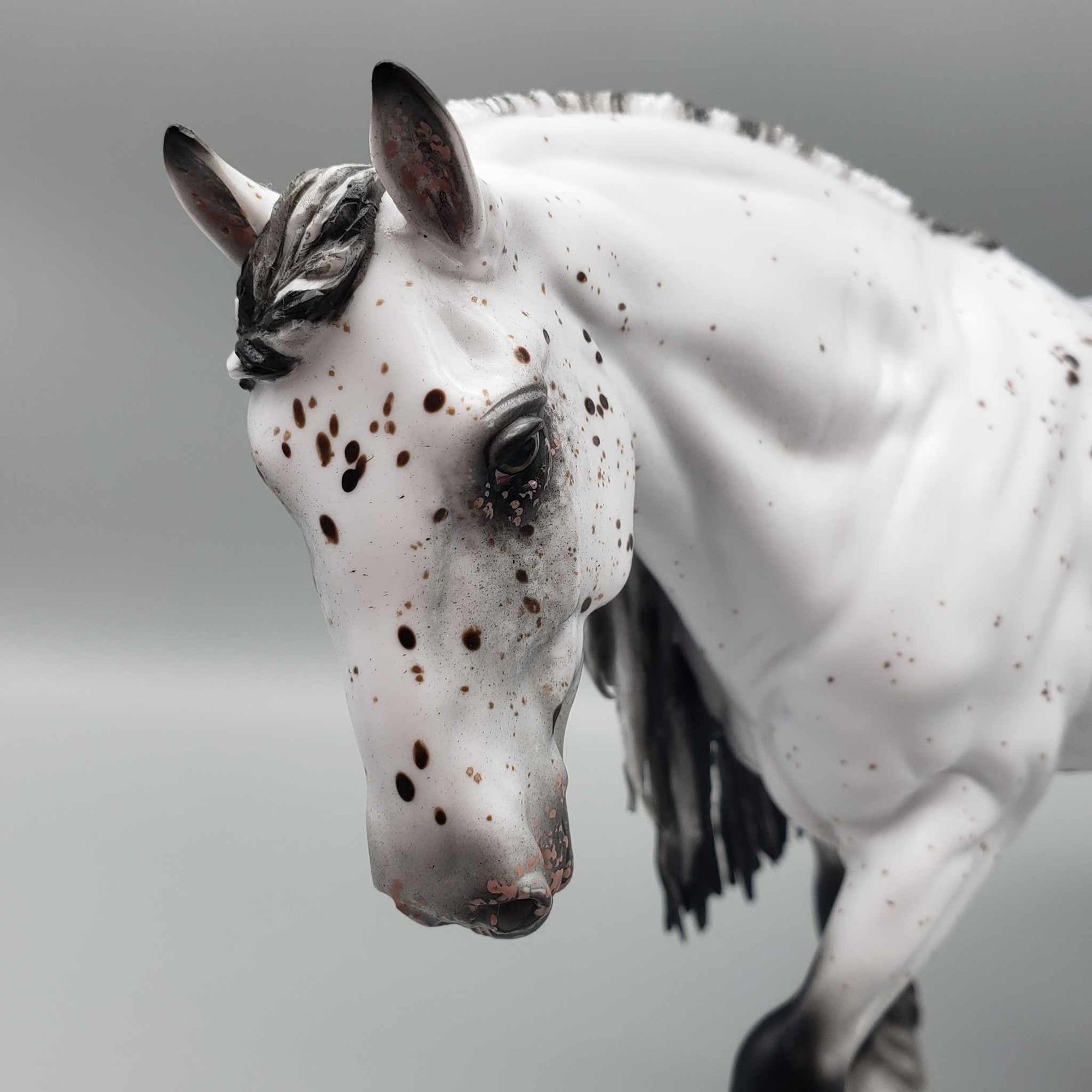 Root Beer Float OOAK Bay Leopard Appaloosa Cob By Myla Pearce Best Offers 10/09/23