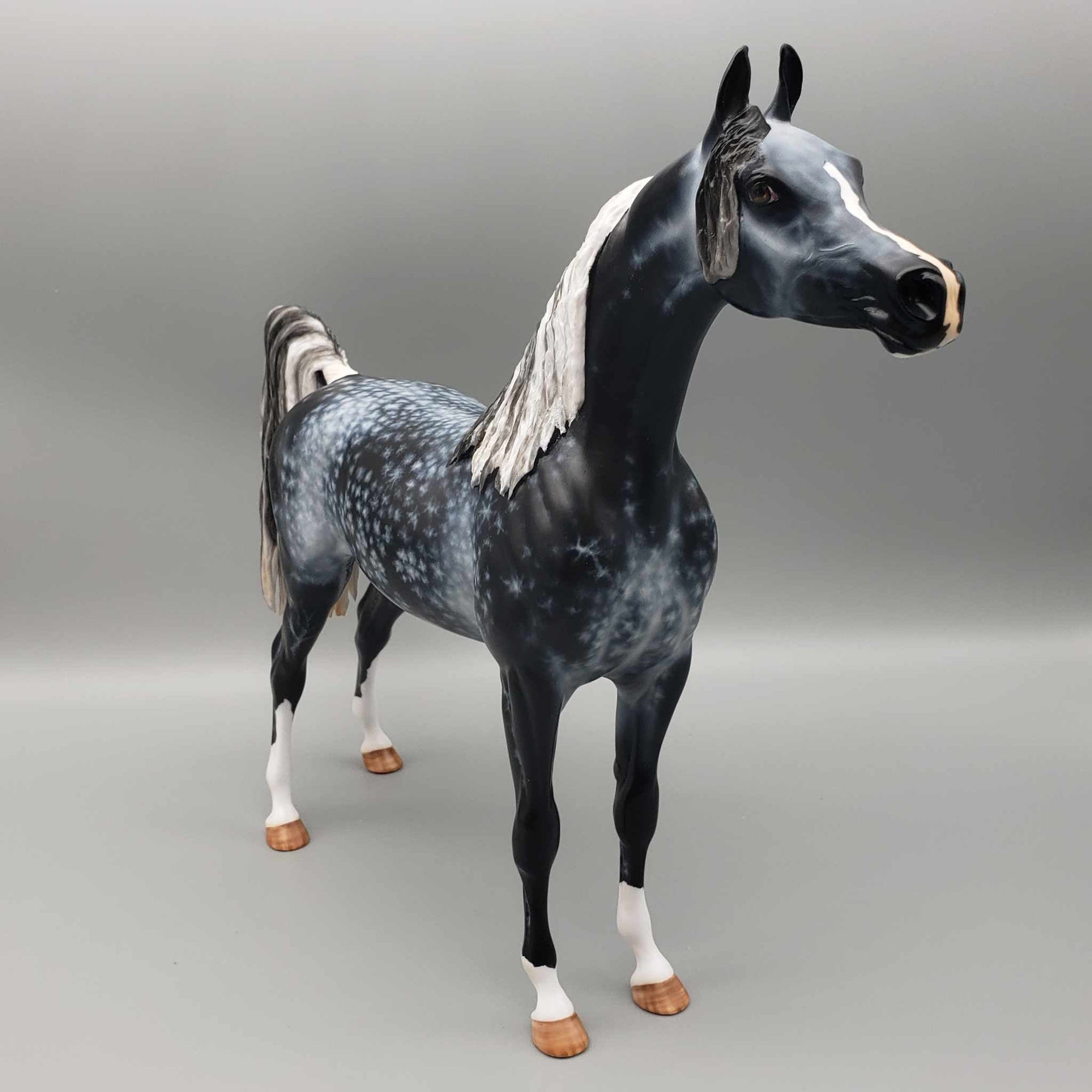 Khosmopolitan OOAK Dappled Grey Arab Stallion By Myla Pearce Best Offers 10/09/23