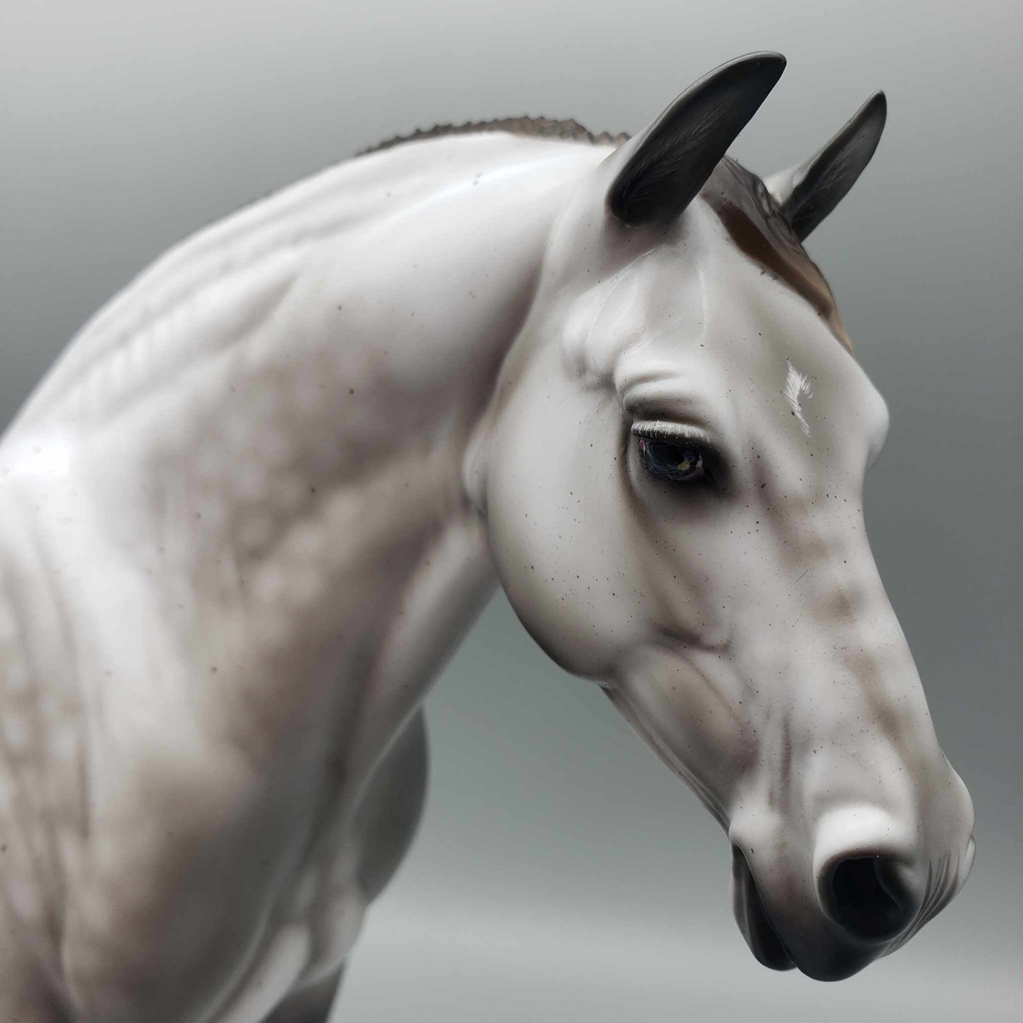 Thayla OOAK Rose Grey Fleabitten Heavy Draft By Ashley Palmer Best Offers 10/09/23