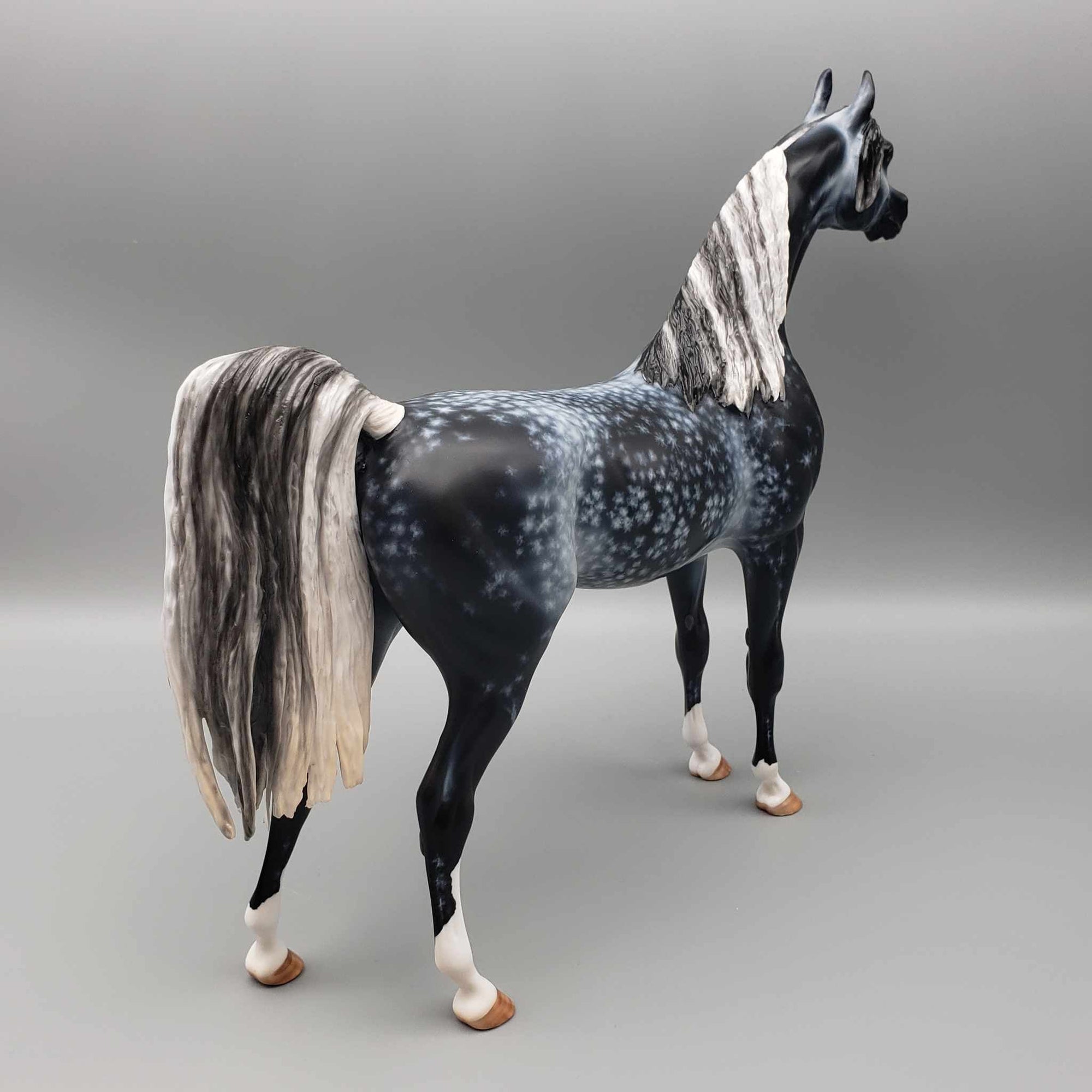 Khosmopolitan OOAK Dappled Grey Arab Stallion By Myla Pearce Best Offers 10/09/23