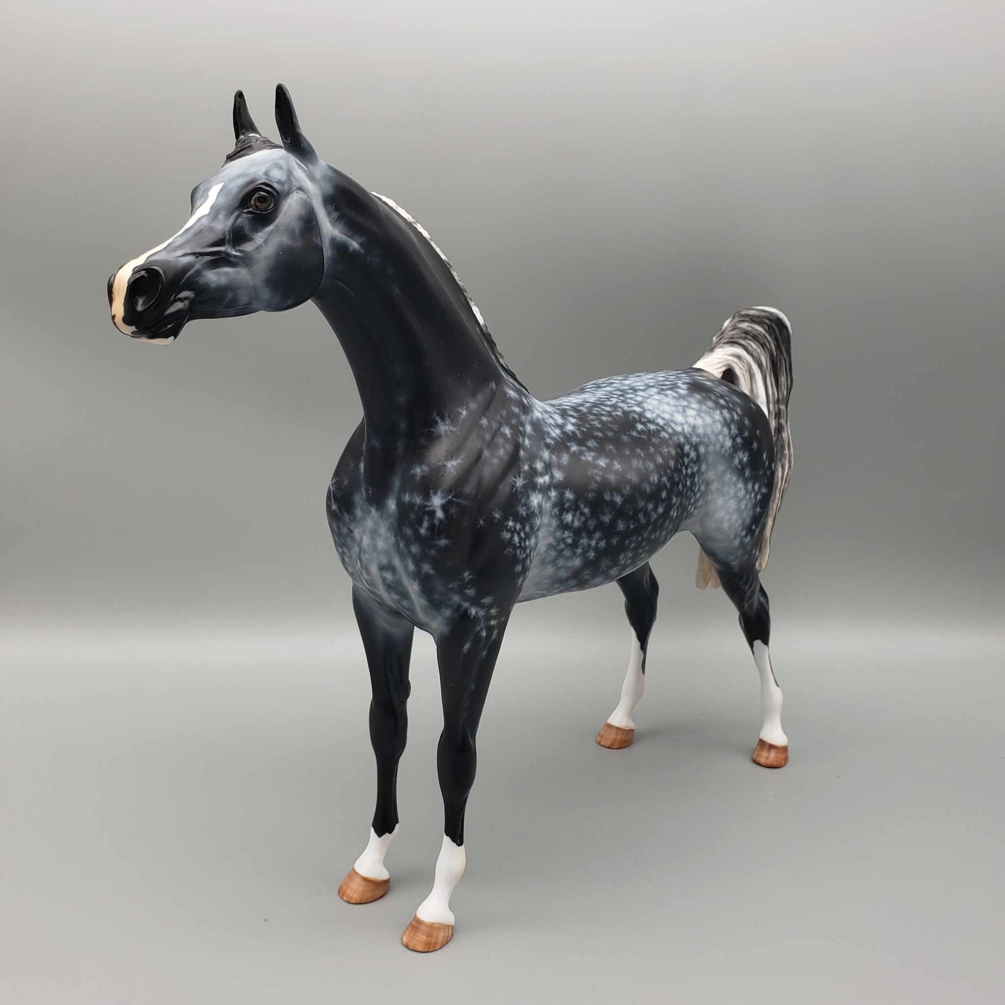 Khosmopolitan OOAK Dappled Grey Arab Stallion By Myla Pearce Best Offers 10/09/23