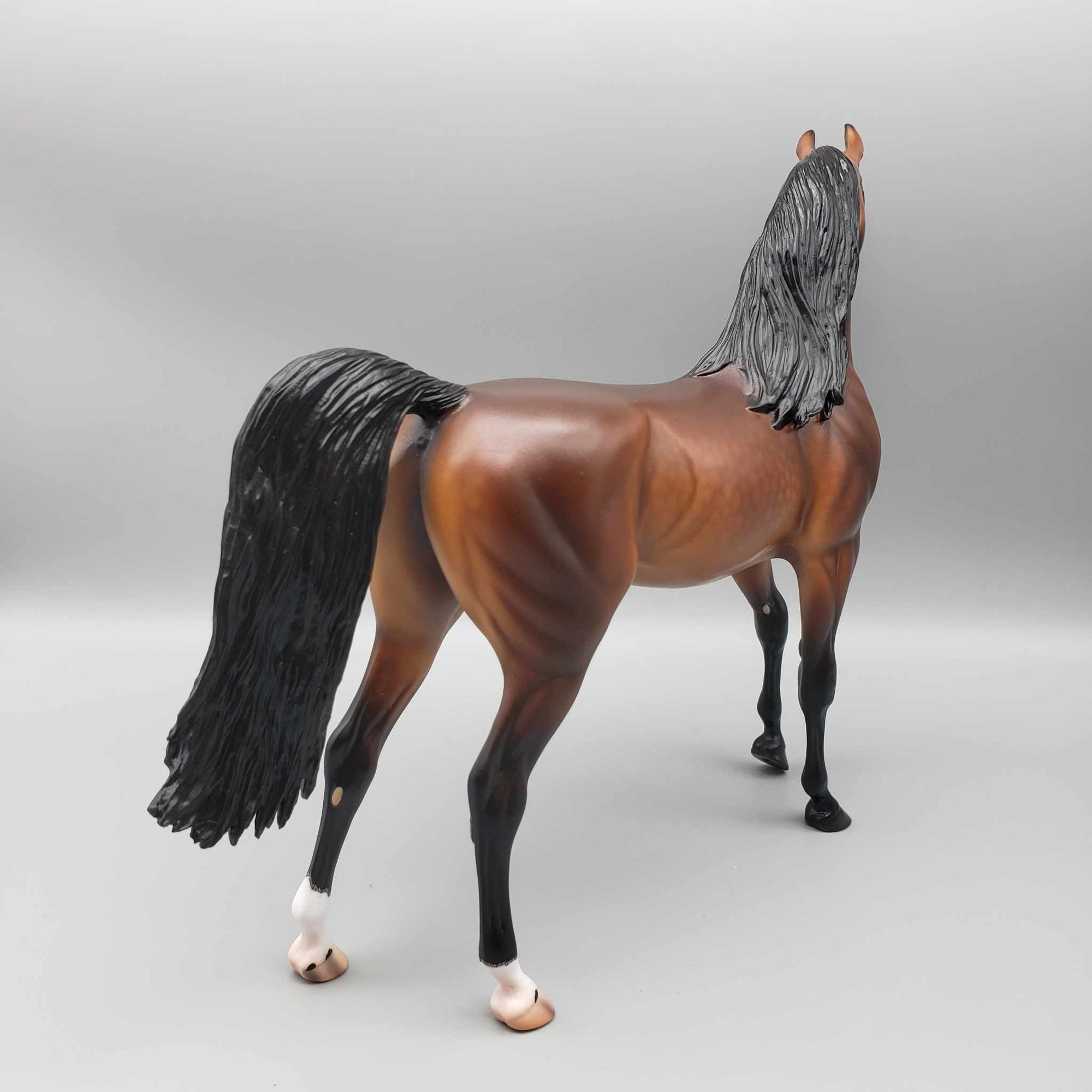 Curtiss OOAK Dappled Bay Arab Stallion By Caroline Boydston Best Offer 11/13/23