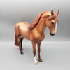 Nutmeg OOAK Red Dun Andalusian By Angela Marleau Holiday Sale HS23