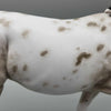 Dun Assumption OOAK Dun Appy Mule By Myla Pearce Best Offers 10/02/23