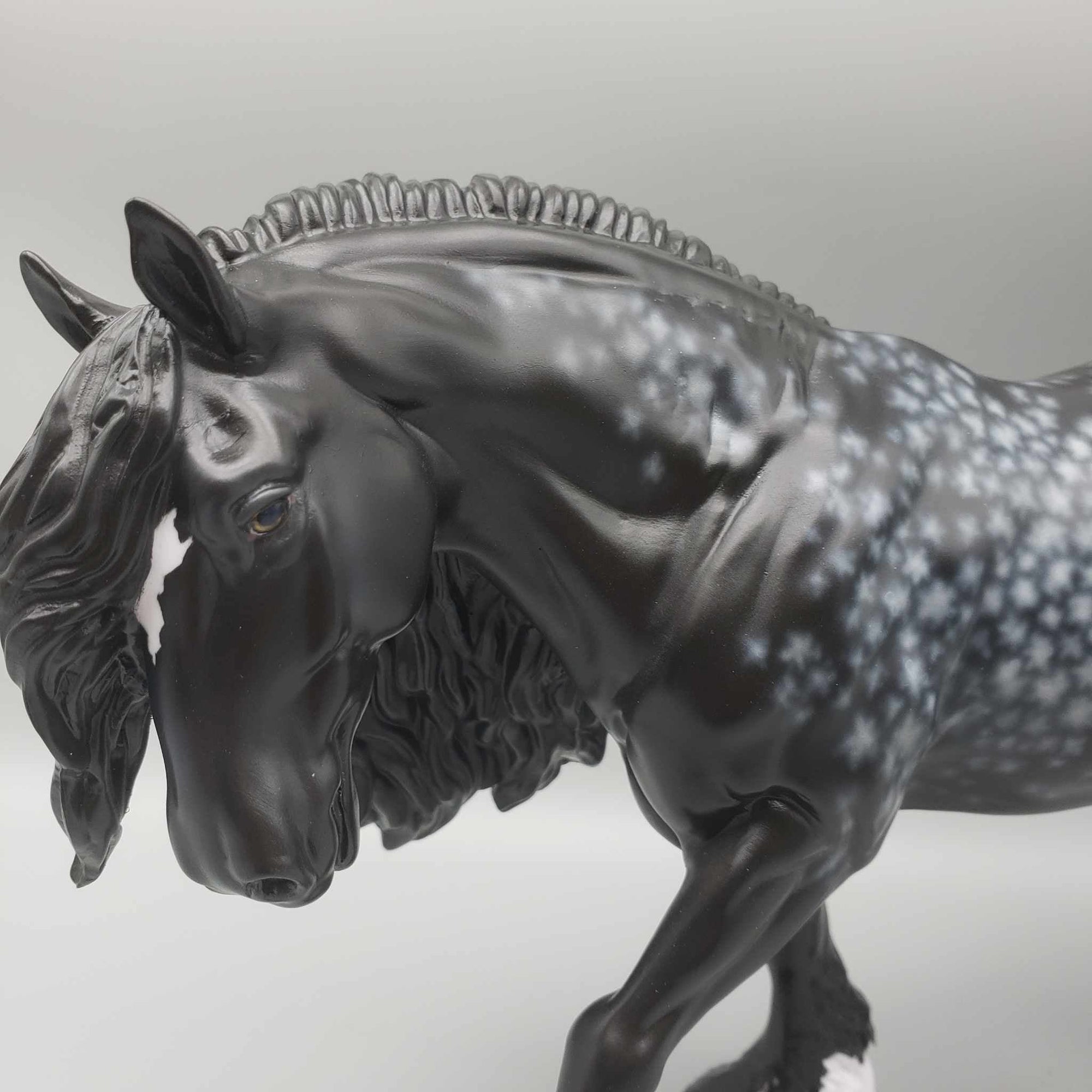 Resolution OOAK Star Dappled Black Irish Cobb W/ Star &amp; Leg Markings By Jess Hamill Holiday Sale HS23