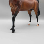 Curtiss OOAK Dappled Bay Arab Stallion By Caroline Boydston Best Offer 11/13/23