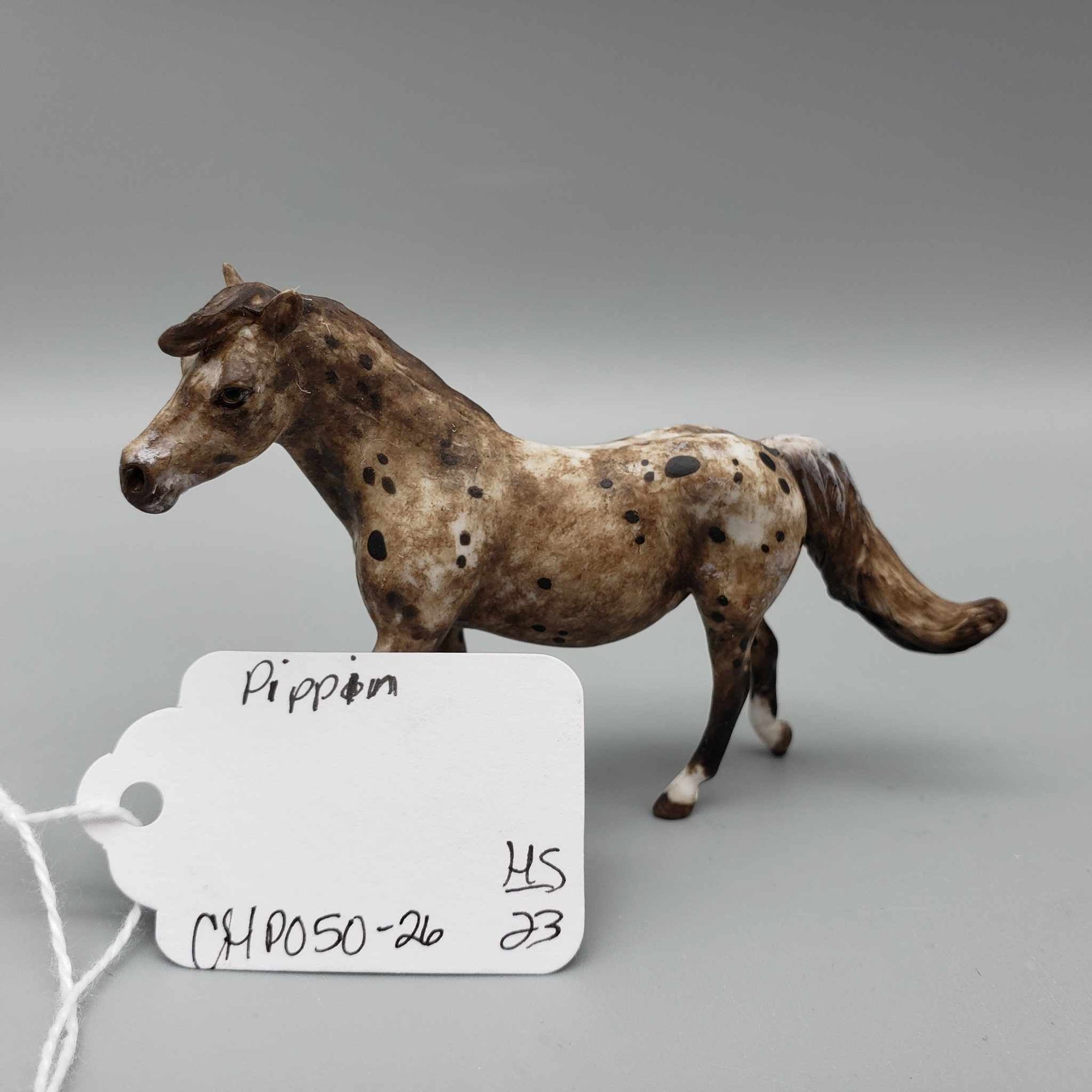 Pippin OOAK Custom Dark Chestnut Appaloosa Pony Chip By Andrea Thomason Holiday Sale HS23