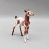 Jubilee OOAK Appaloosa Chip Foal Hand Painted and Customized by Andrea Thomason NY23