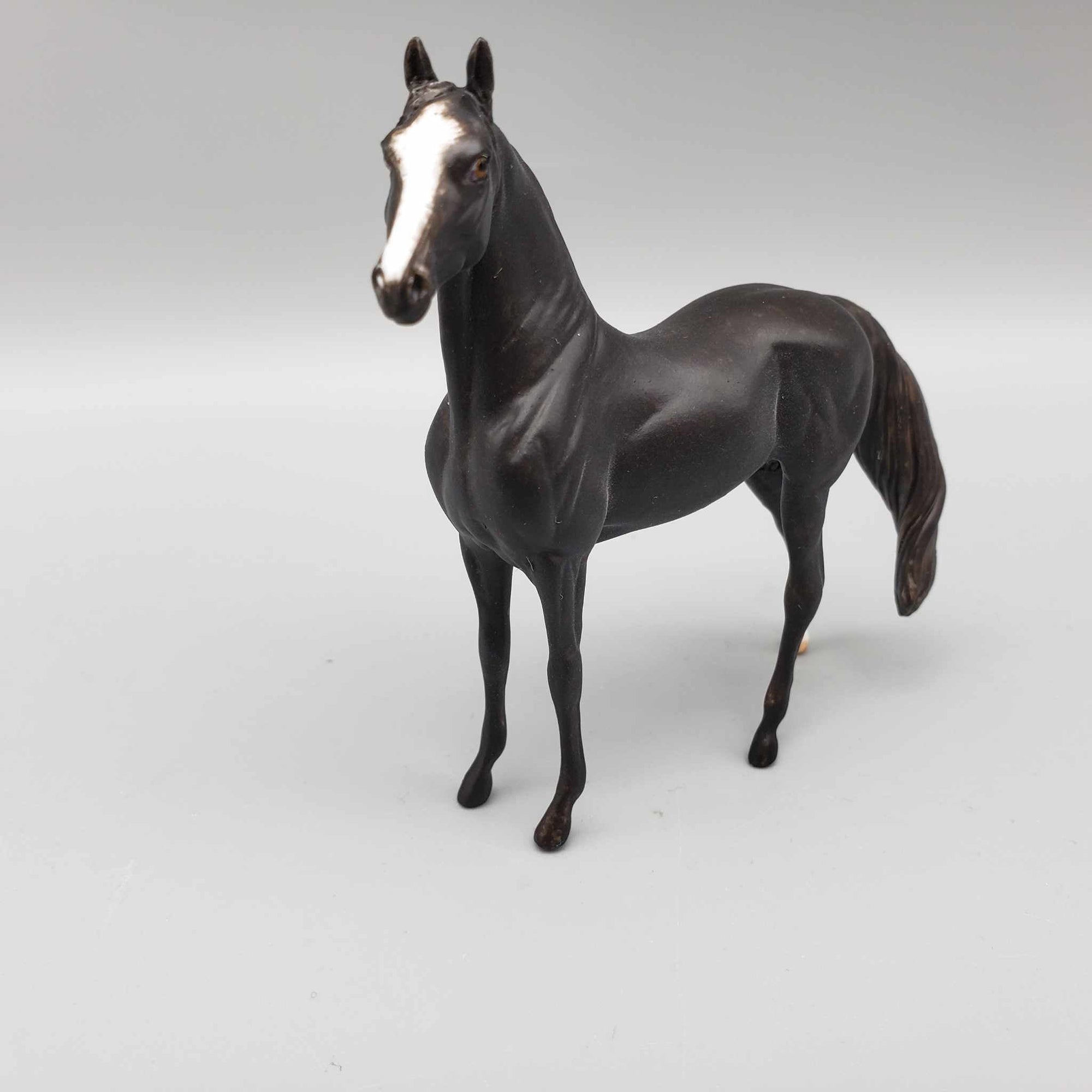 Orleans OOAK Custom Black Morgan Chip By Andrea Thomason Holiday Sale HS23