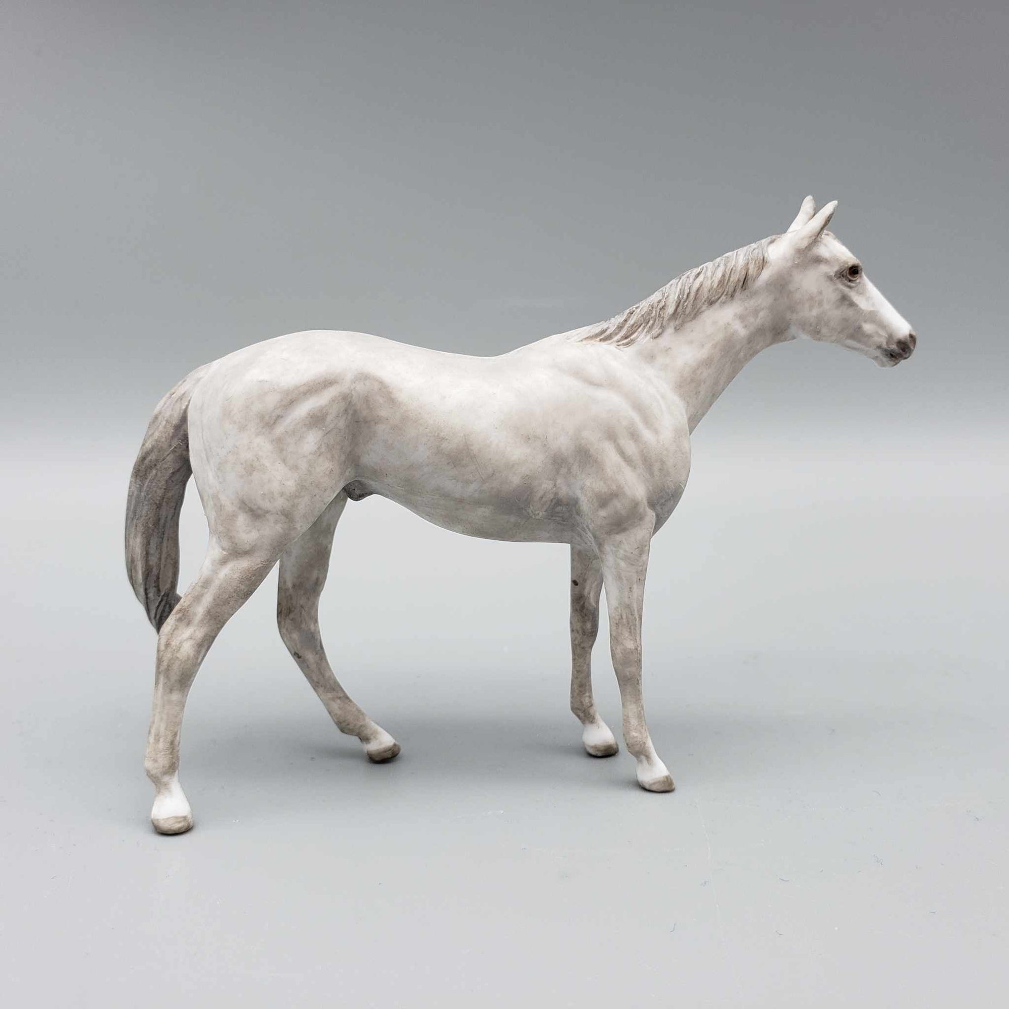 Warners King OOAK Gray Thoroughbred Chip By Andrea Thomason Holiday Sale HS23