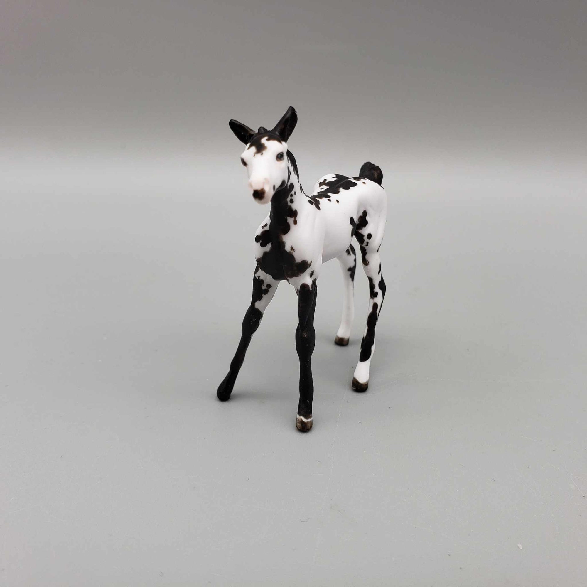 Sweetango OOAK Chip Foal Hand Painted and Customized by Andrea Thomason HS23