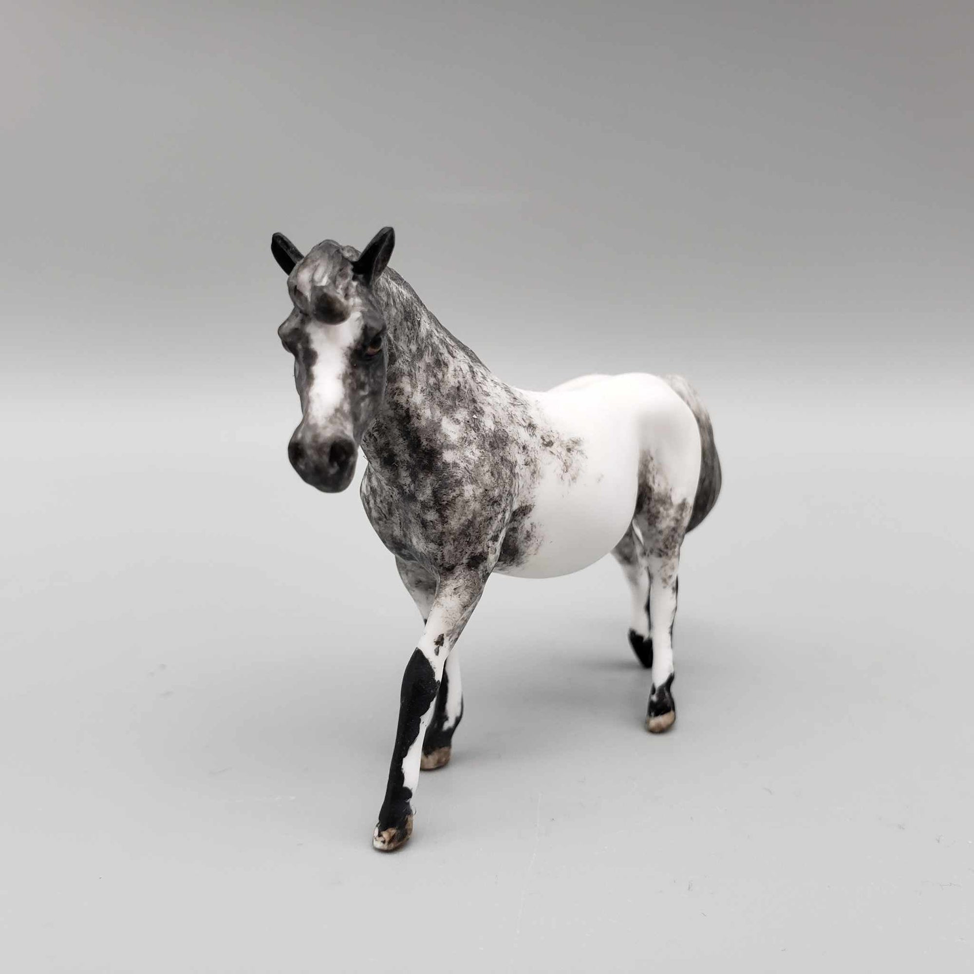Spire OOAK Custom Black Appaloosa Pony Chip By Andrea Thomason Holiday Sale HS23