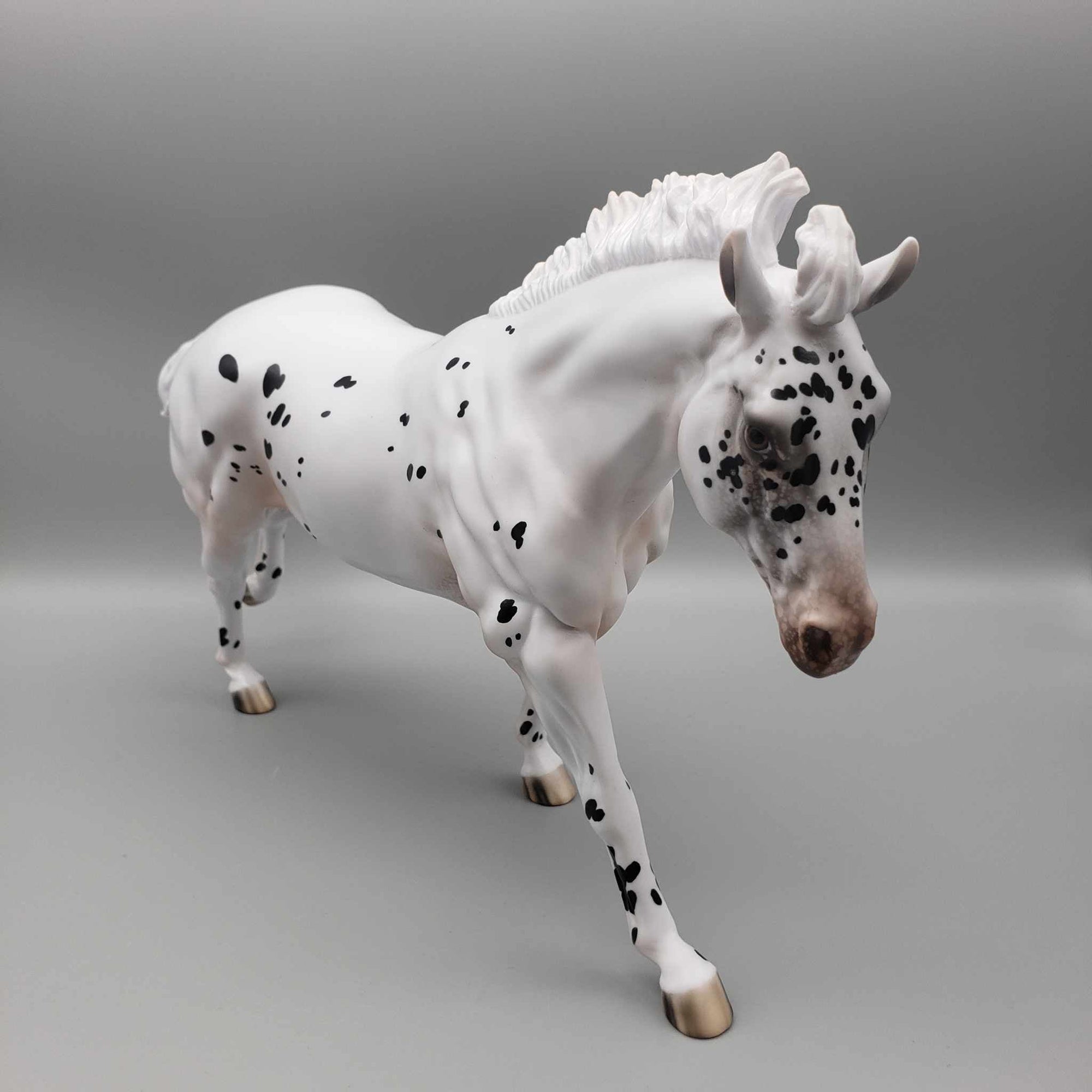 Popcorn OOAK  Black Appaloosa Remington W/ Short Mane By Jess Hamill Holiday Sale HS23