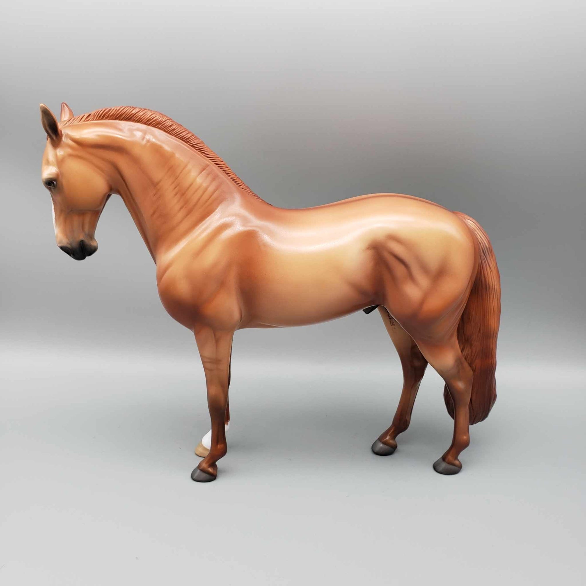 Nutmeg OOAK Red Dun Andalusian By Angela Marleau Holiday Sale HS23