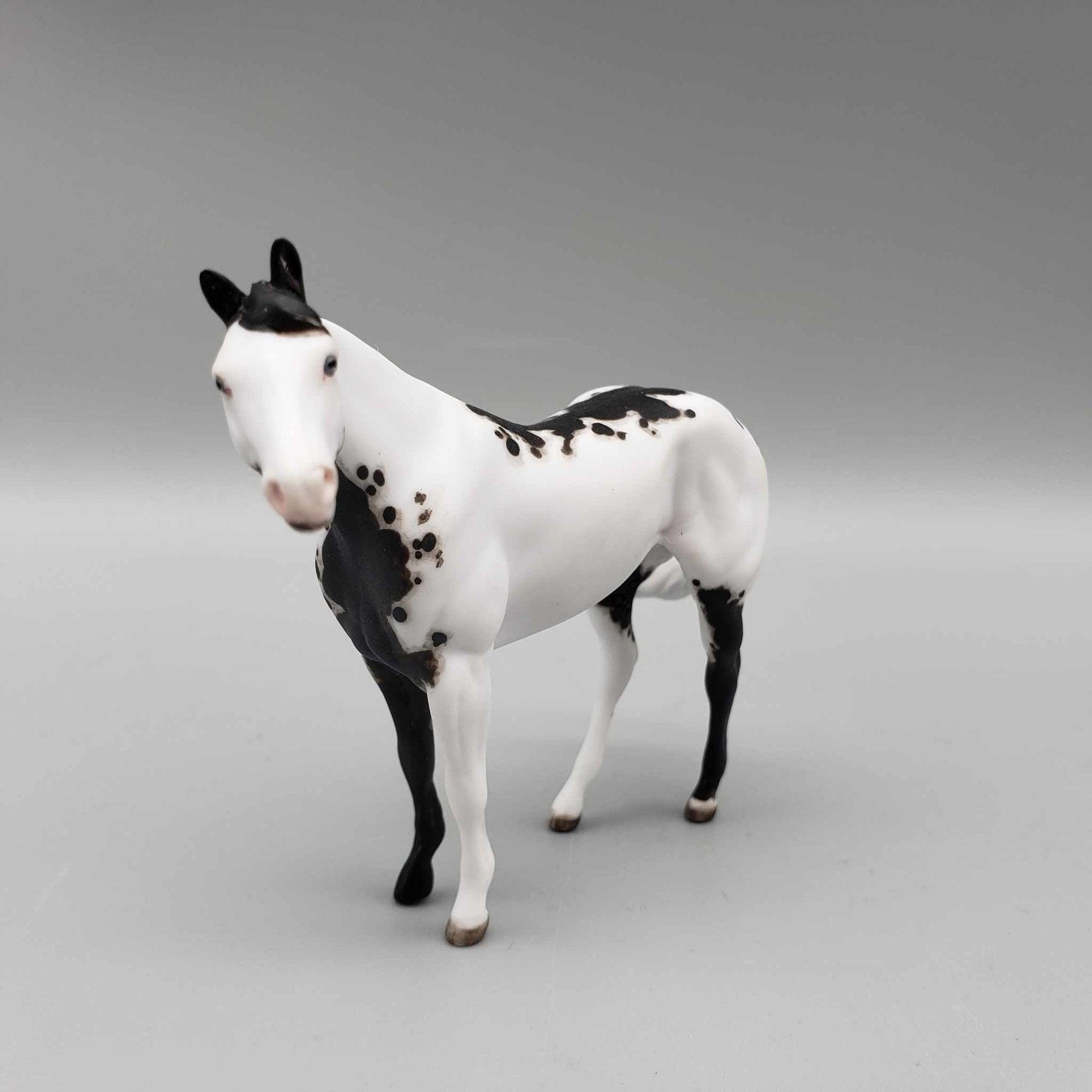 Epicore OOAK Black Overo Custom Stock Chip By Andrea Thomason Holiday Sale HS23