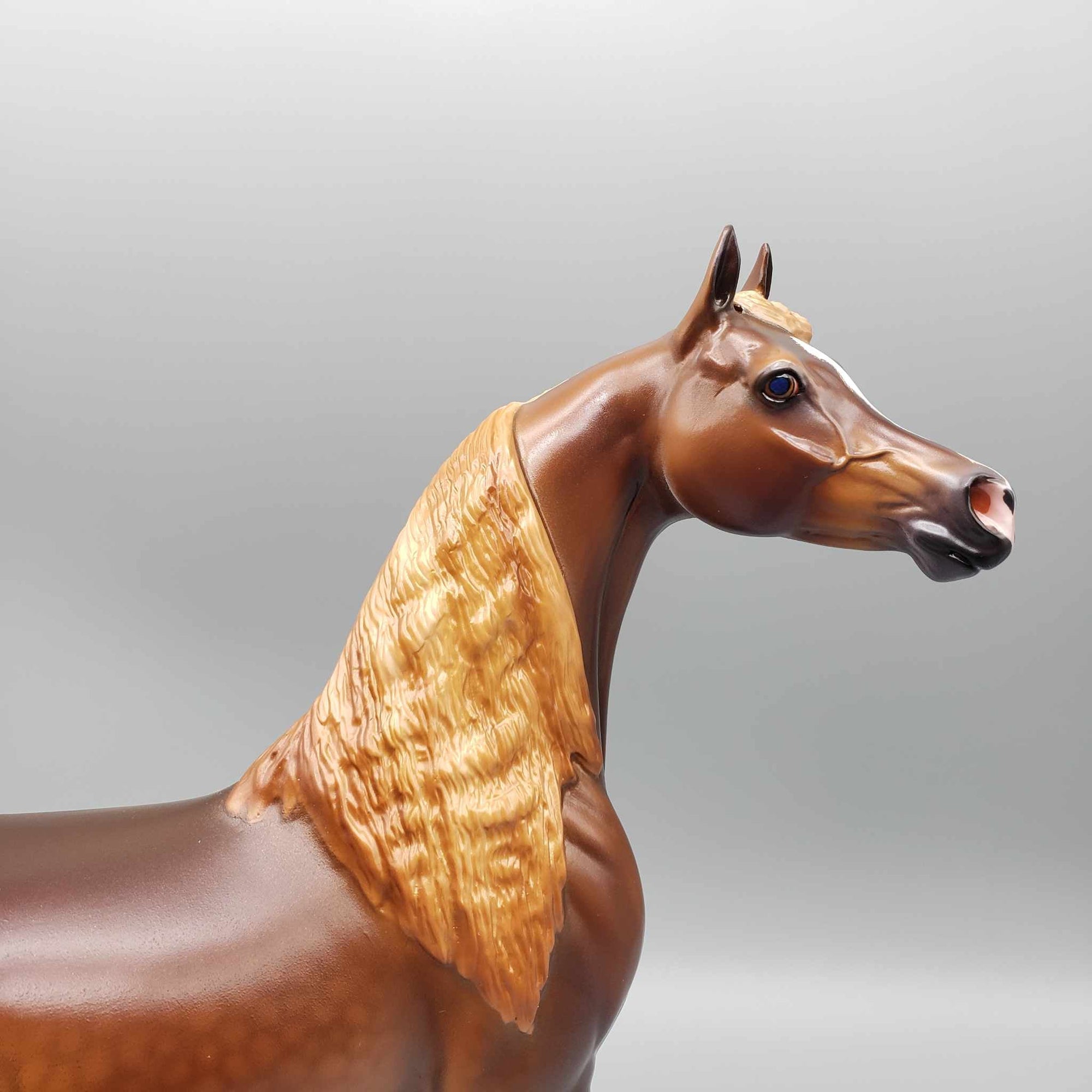 Thunderbolt Dappled Chestnut Arab Stallion By Caroline Boydston Best Offer 11/13/23